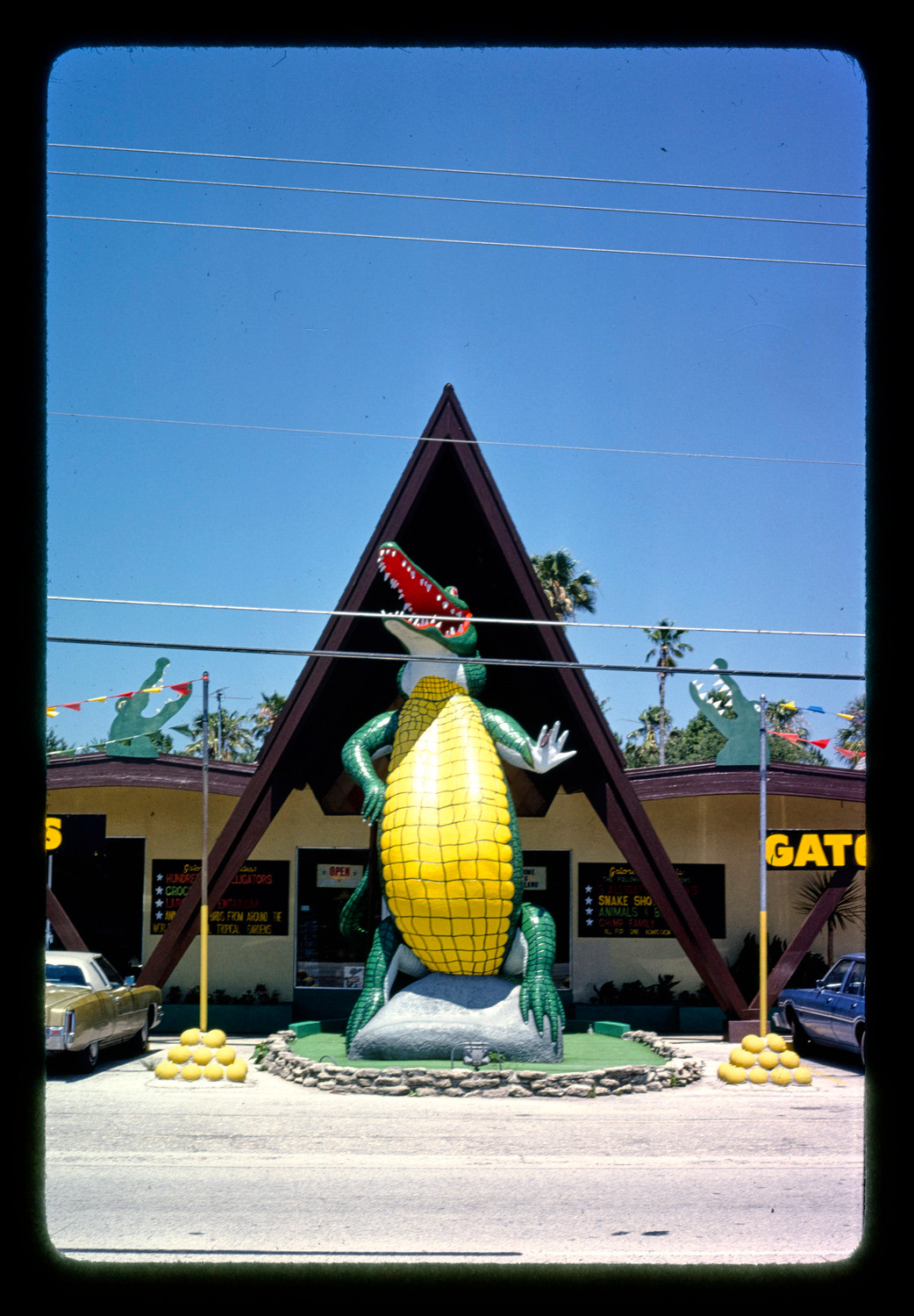 gatorland, route 1, st. augustine, florida, 1979