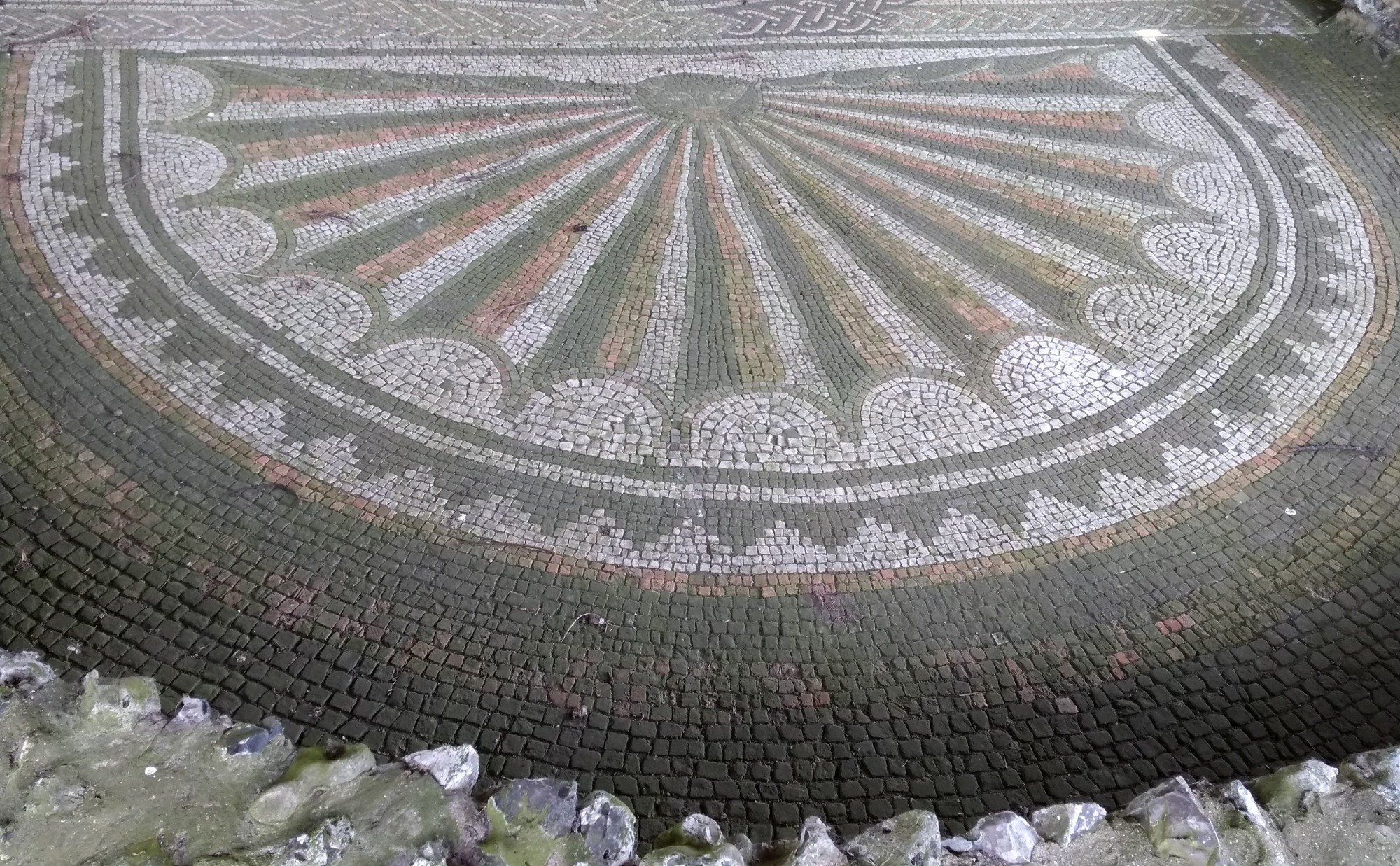 Part of a Roman mosaic showing an apse with a radial design in the form of a shell, with the segments coloured in dark grey, red and white/cream. The shell's hinge is at the top of photograph and takes the form of a small cat-like mask. There is a border of stepped triangles and a wider plain outer border. In the immediate foreground are the remains of the wall around the apse.