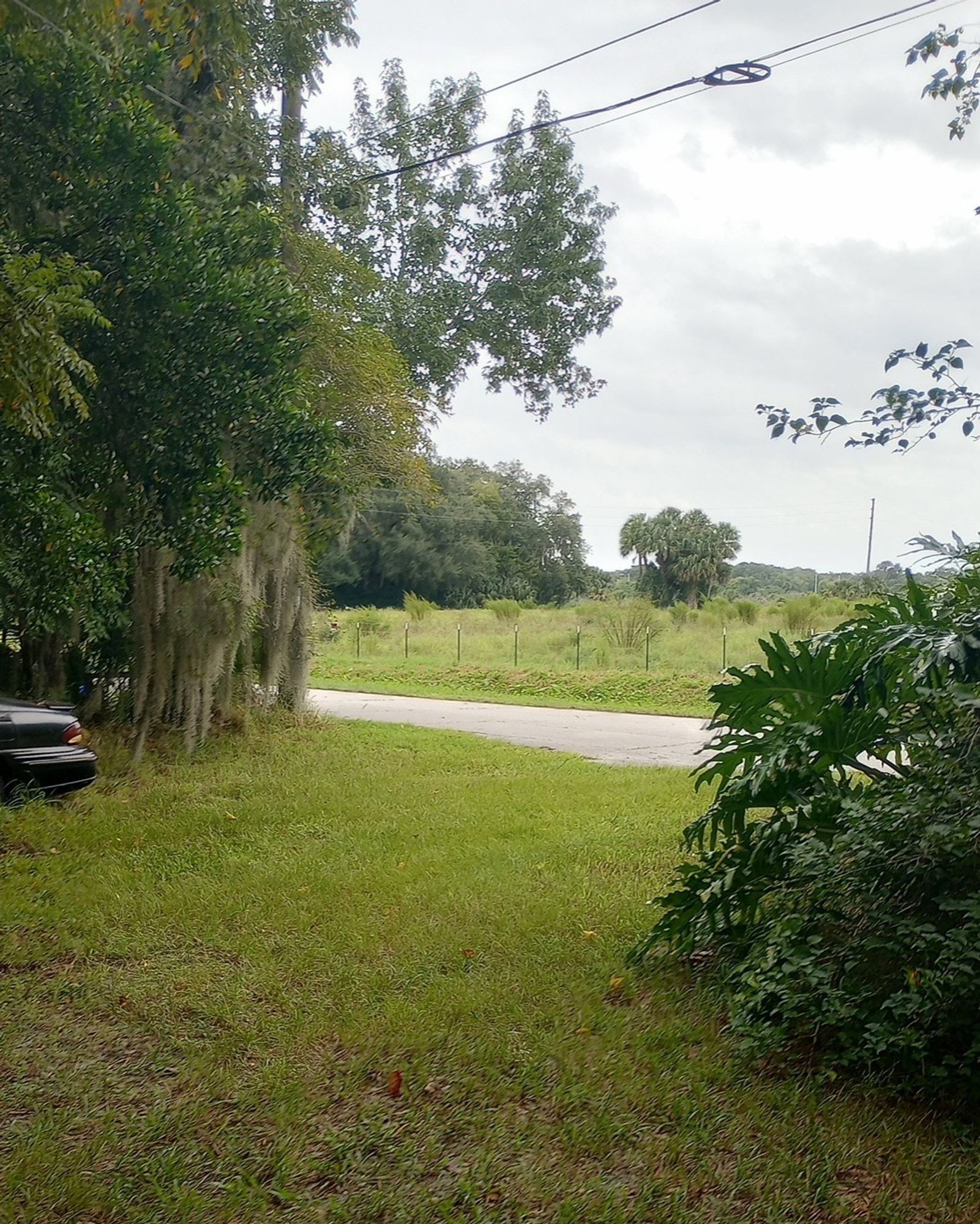 A snapshot of the front yard. I just gave the critters and birds their peanut rations. Gray, cloudy sky, but very calm. We're now on tornado watch until 8pm. Helene is in the gulf churning up weather.