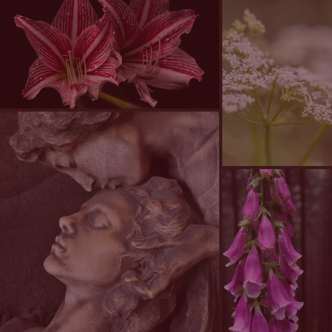 A moodboard of a statue of a person kissing another on the forehead, surrounded by deadly flowers