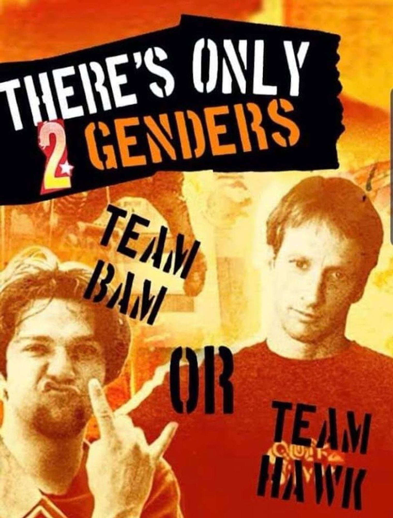 tony hawk's underground 2 photoshop that says "there's only 2 genders" followed by "TEAM BAM or TEAM HAWK"