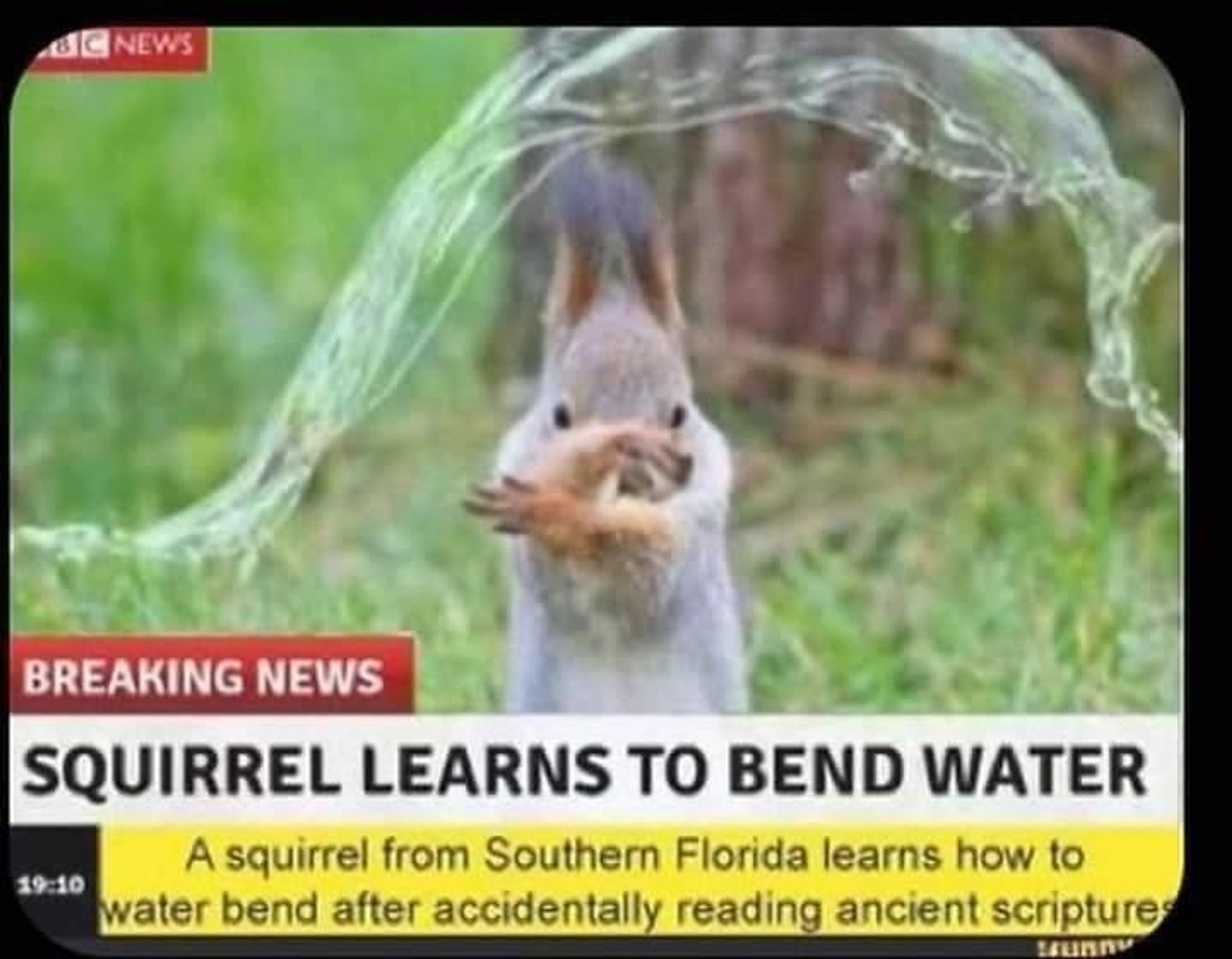 A squirrel learns to bend water.
"A squirrel from Southern Florida learns to water bend after accidentally reading ancient scriptures".
Un écureuil agite ses pattes devant lui et un flux d'eau passe par-dessus sa tête.