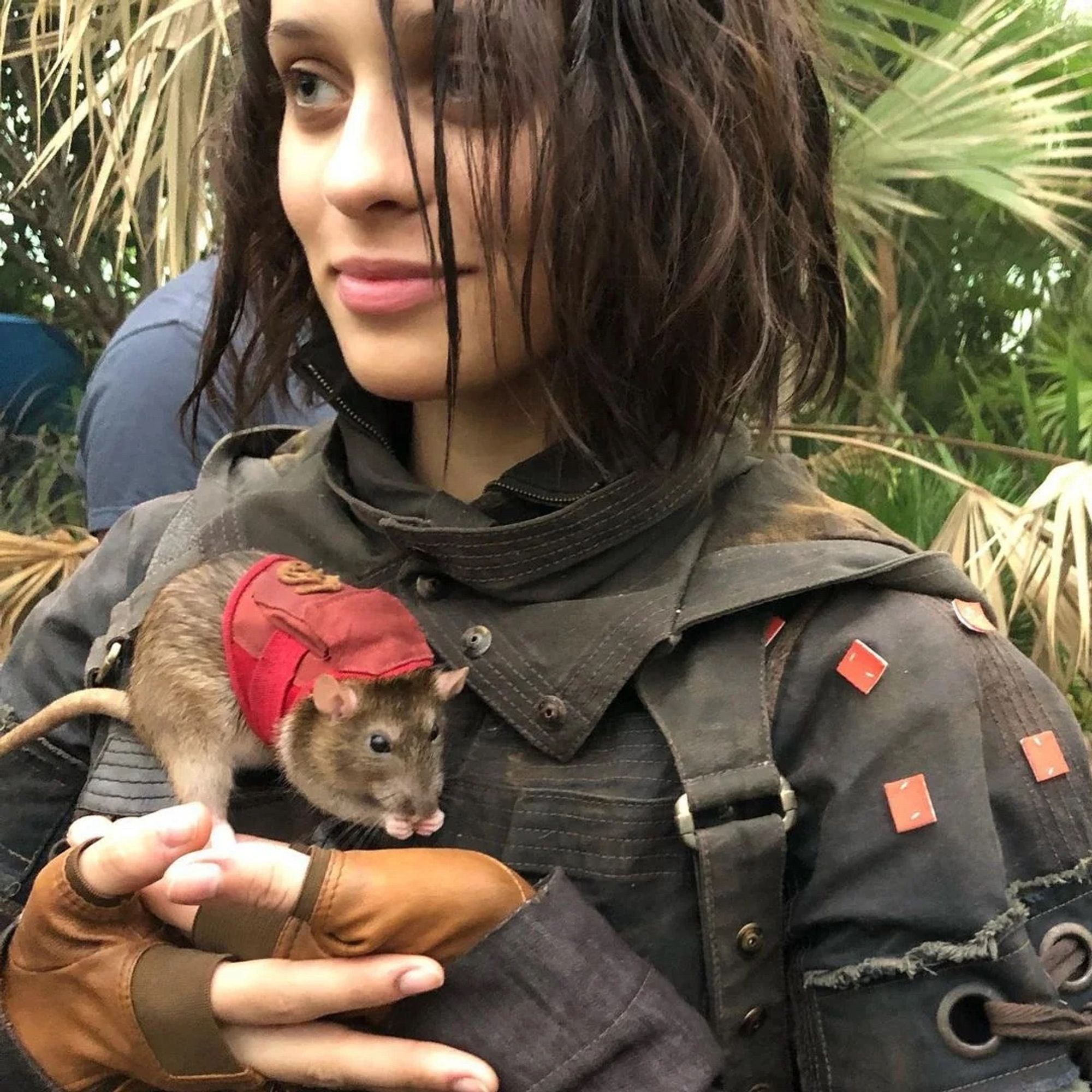 Ratcatcher 2 from The Suicide Squad wearing a patched coat and fingerless gloves while holding a rat with a little backpack on