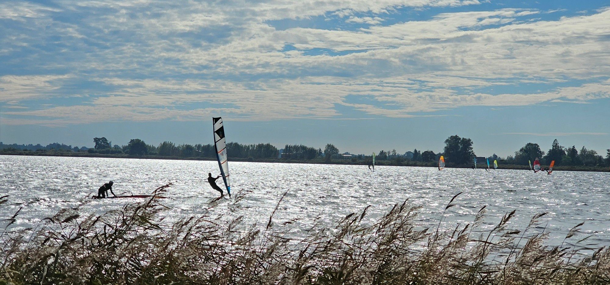 Water met surfers! Eentje was gevallen klimt weer op de plank. En de zon glinstert op het water.