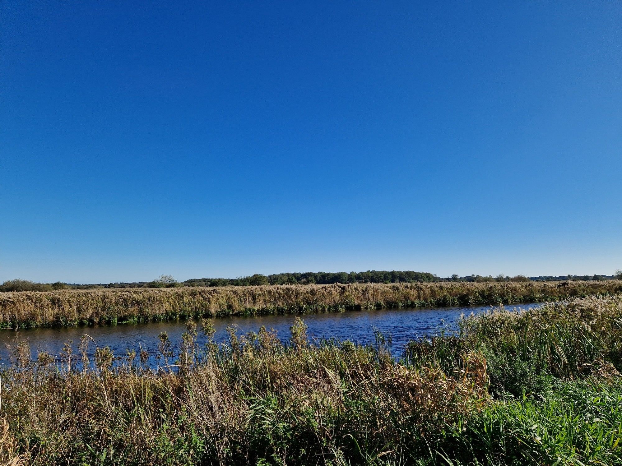 Fietsen langs mijn vaart onder een strakblauwe lucht.