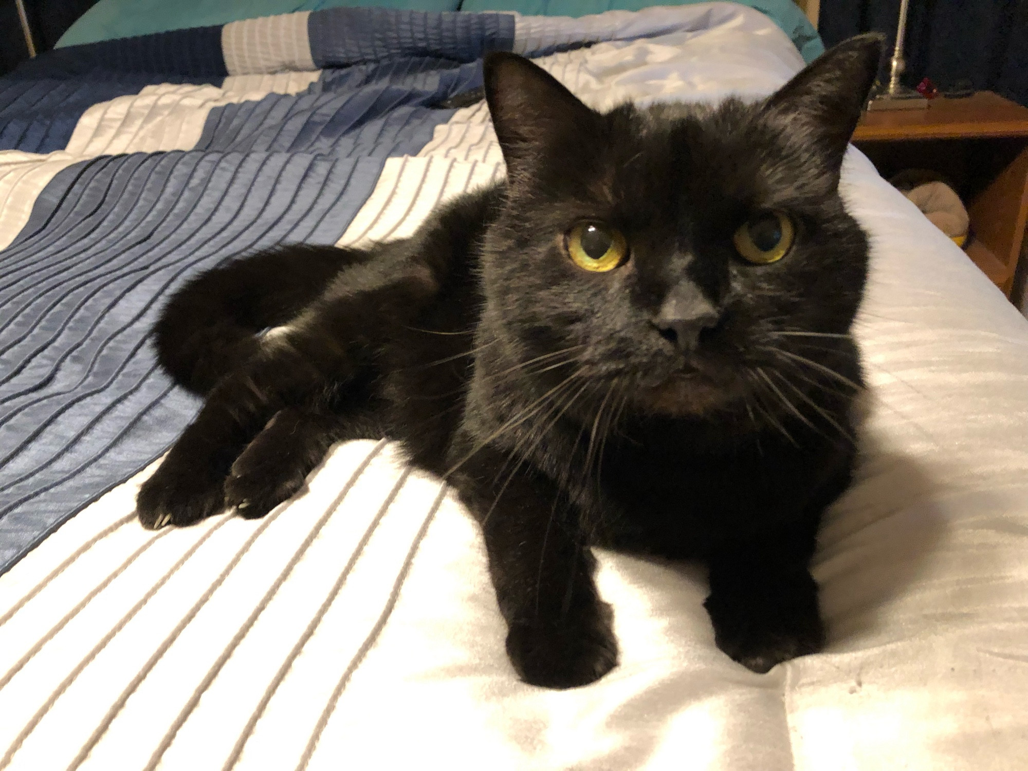 Arwyn on the bed