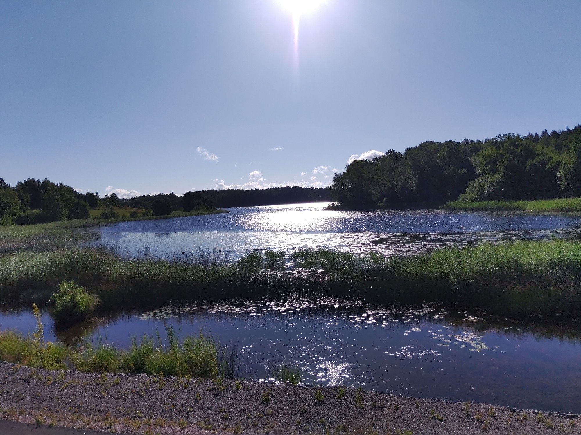 Ein glitzernder See mit Sonne bei fast wolkenlosem Himmel. Dahinter ein Nadelwald.