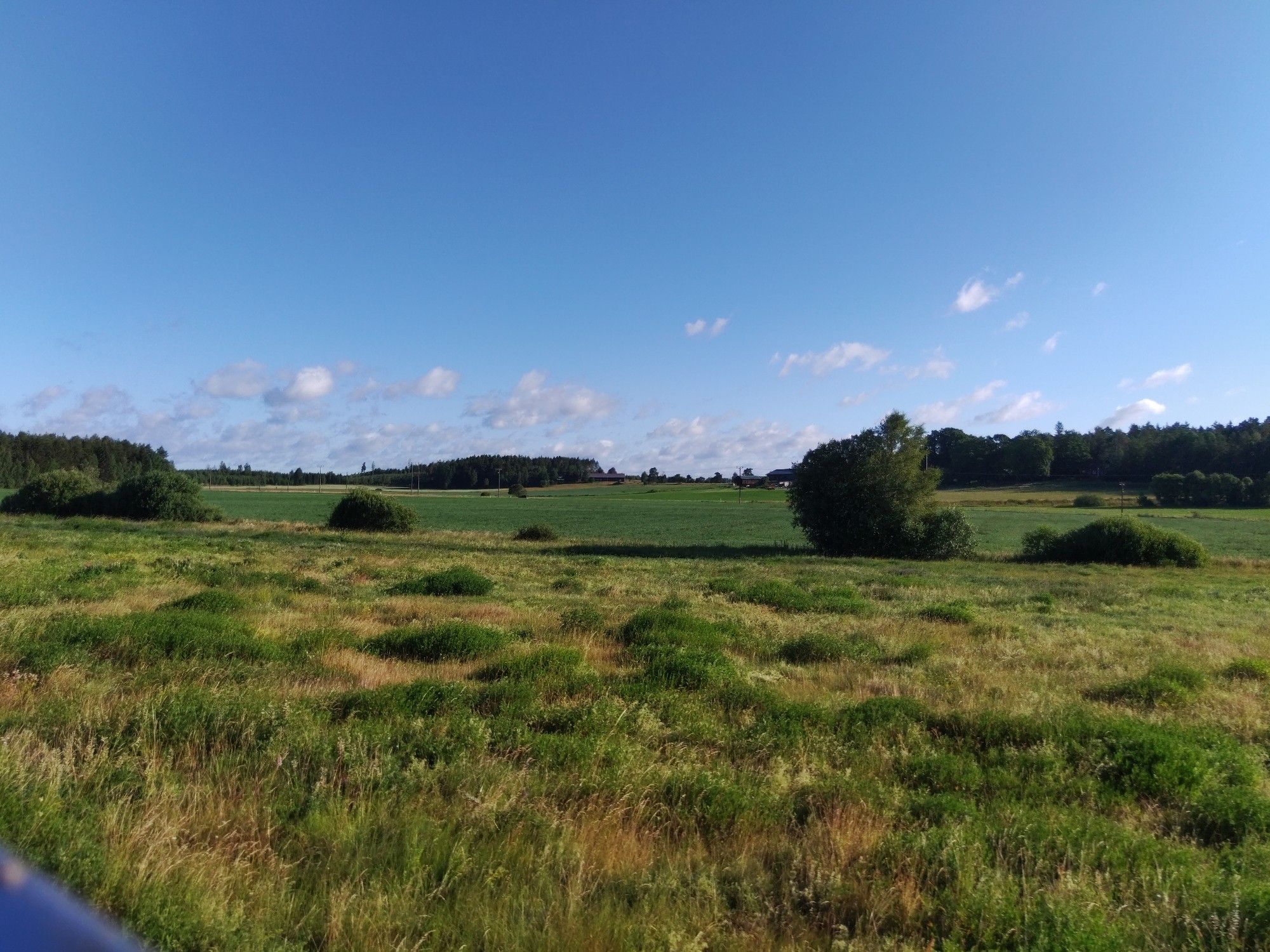 Grüne Wiesenlandschaft bei Nyköping.