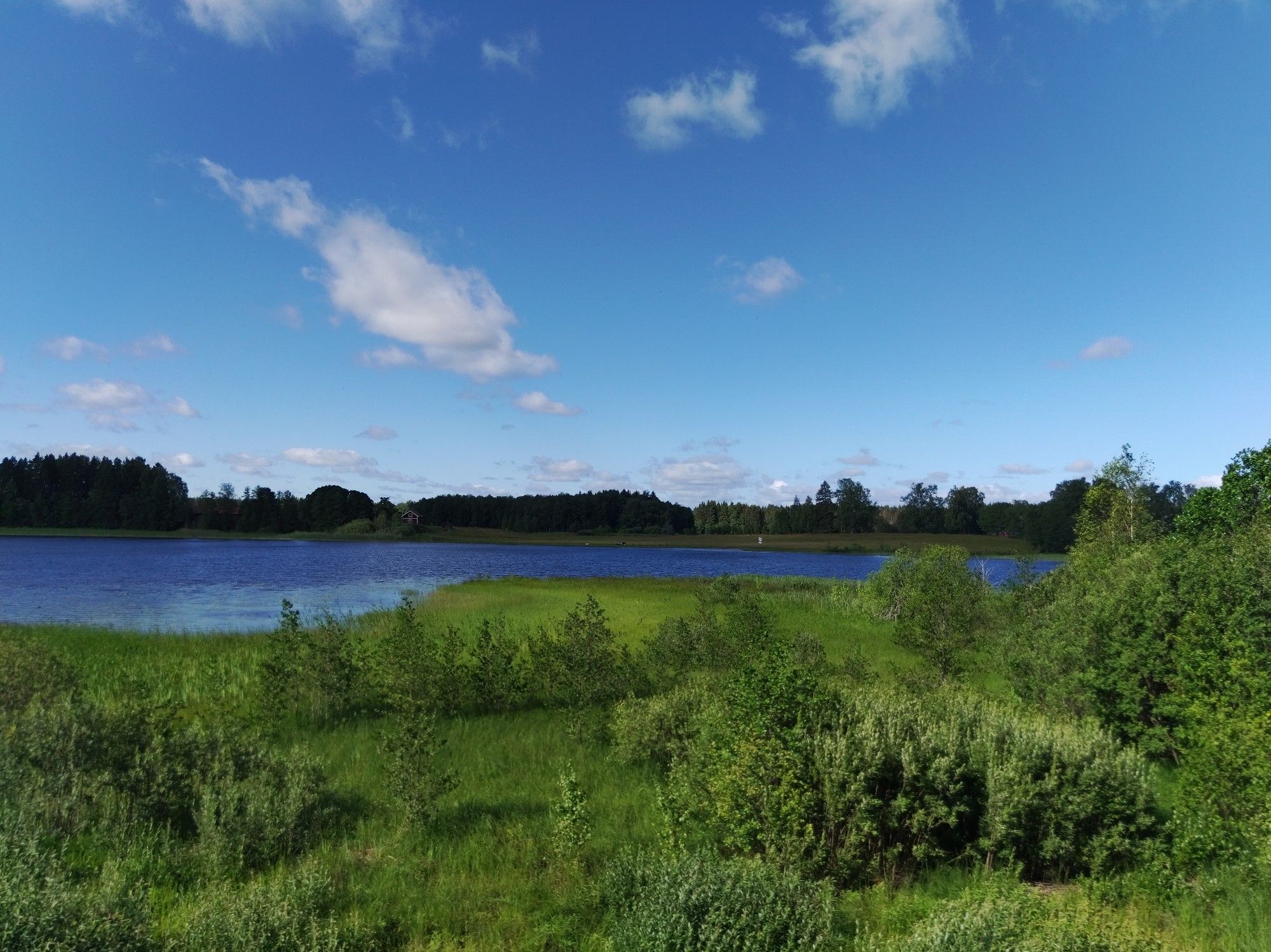 Blauer See vor grüner Wald- und Wiesenkulisse.