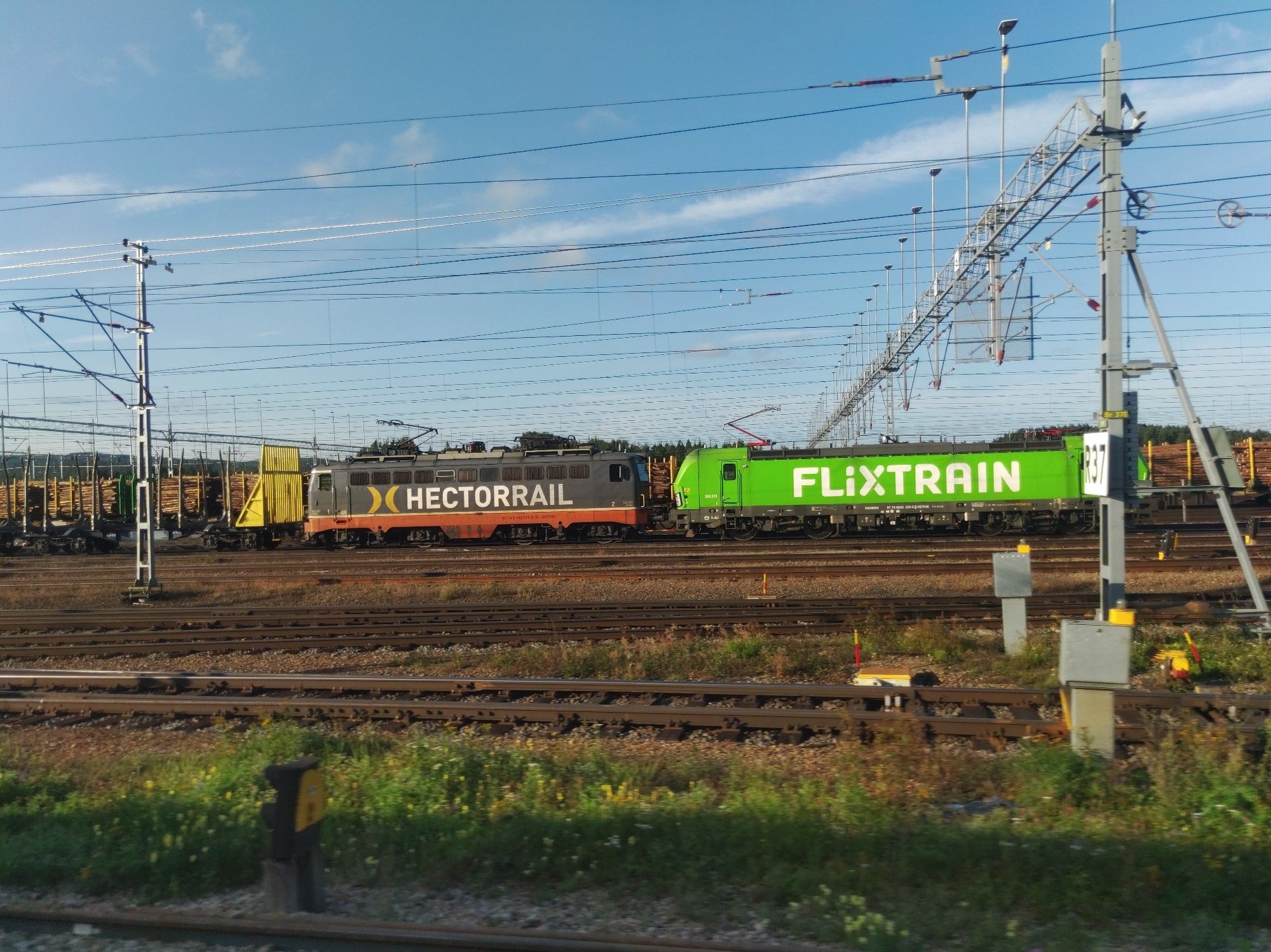 Zwei Lokomotiven, eine grüne mit Flixtrain-Lackierung und eine blaue mit Hectorrail-Logo vor einem Güterzug im Rangierbahnhof Ånge.