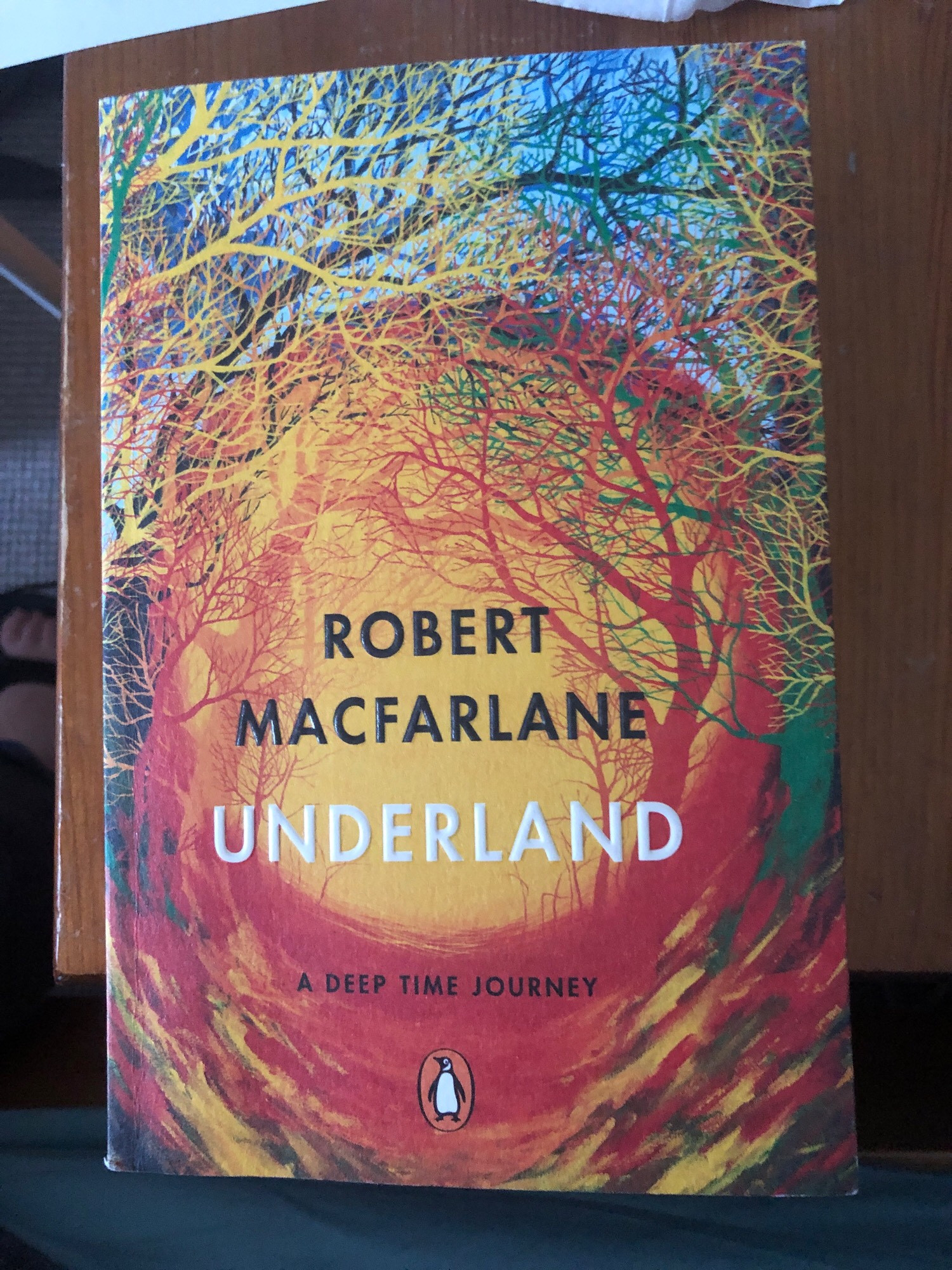 Cover of ‘Underland’ by Robert Macfarlane (pub Penguin Books)