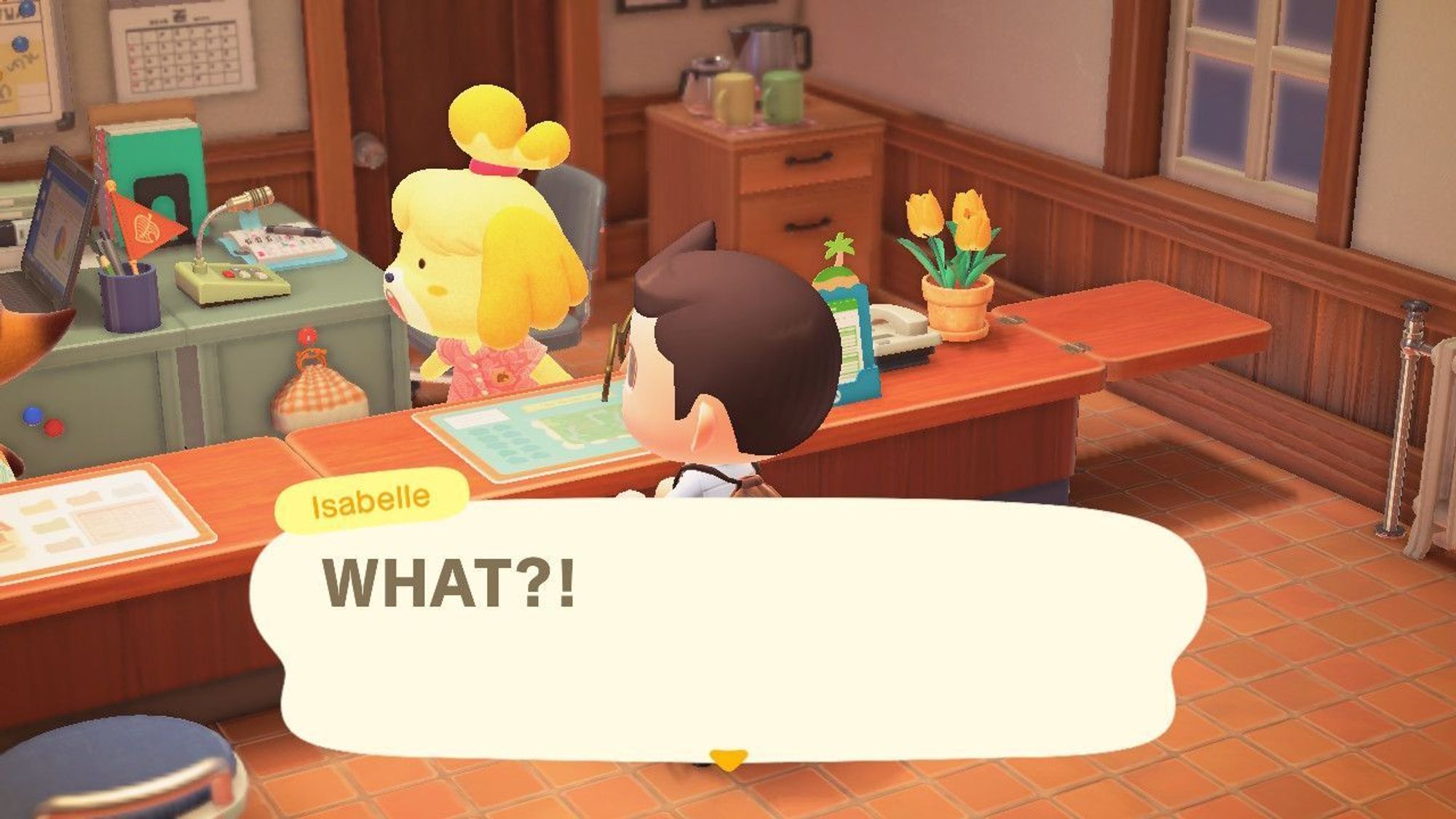 An Animal Crossing screenshot. Isabelle is schocked and she's screaming "WHAT?!" #animalcrossing #animalcrossingnewhorizons #nintendo #nintendoswitch #gaymer #gamer #gaygeek #gaynerd #geek #nerd