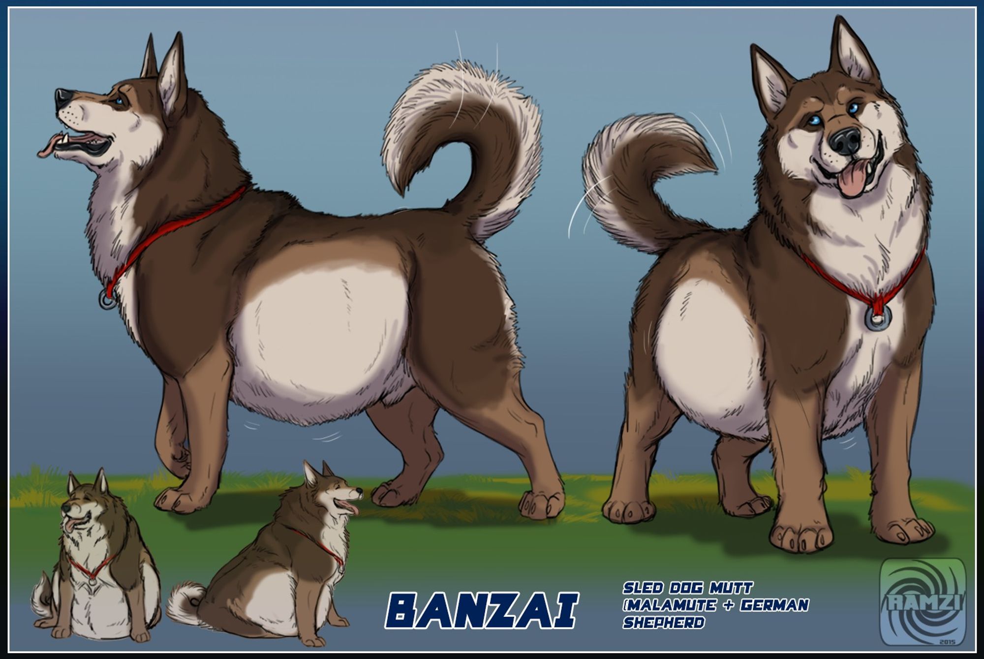 A Digital Artwork reference sheet depicting a chunky husky-like dog named Banzai. The character can be seen in four different poses, two standing and two smaller sitting poses, Banzai is wearing a red collar and smiling with his tongue lolling out.