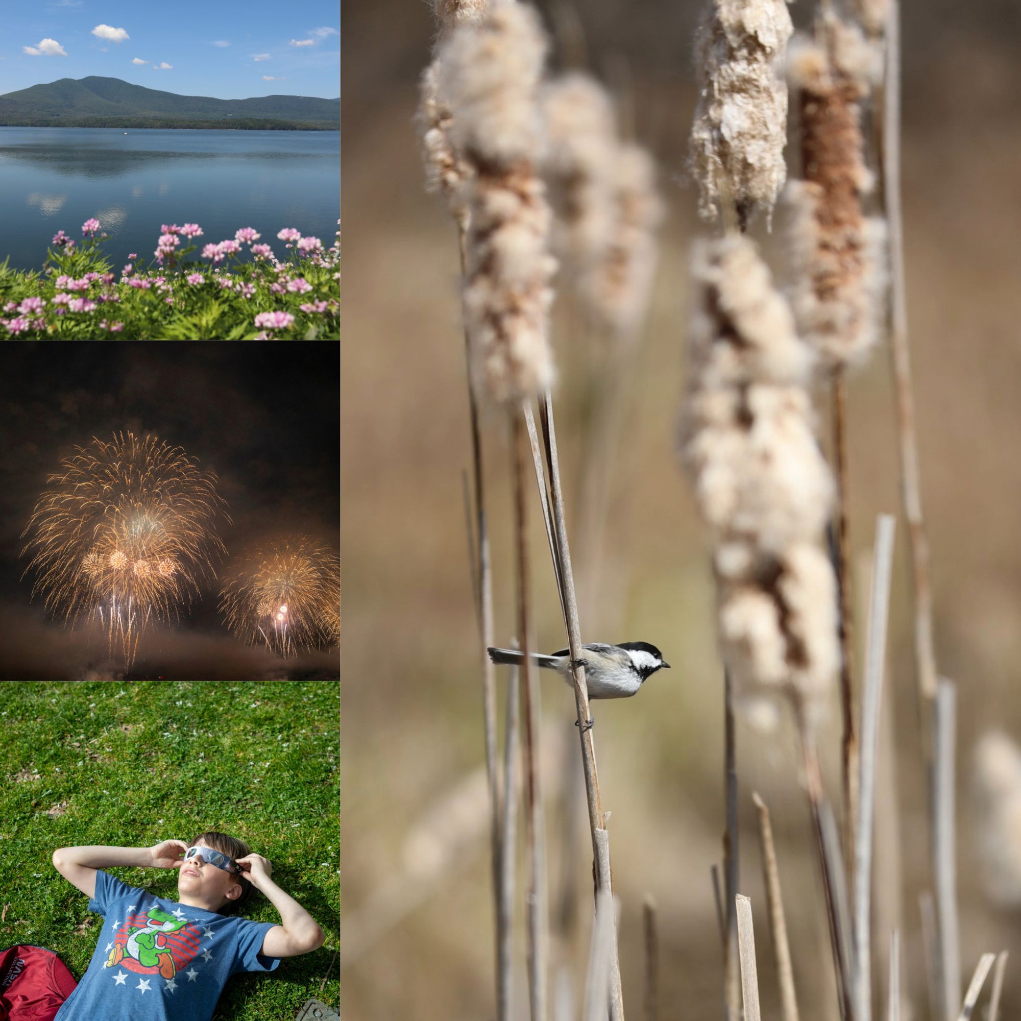 A collage of photos taken by DEP photographers