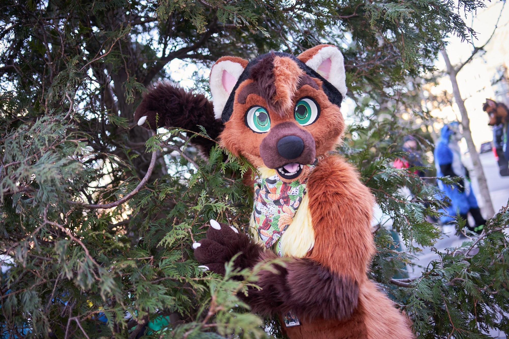 Photo of a person wearing pine marten fursuit, posing in front of a tree and touching its branches.