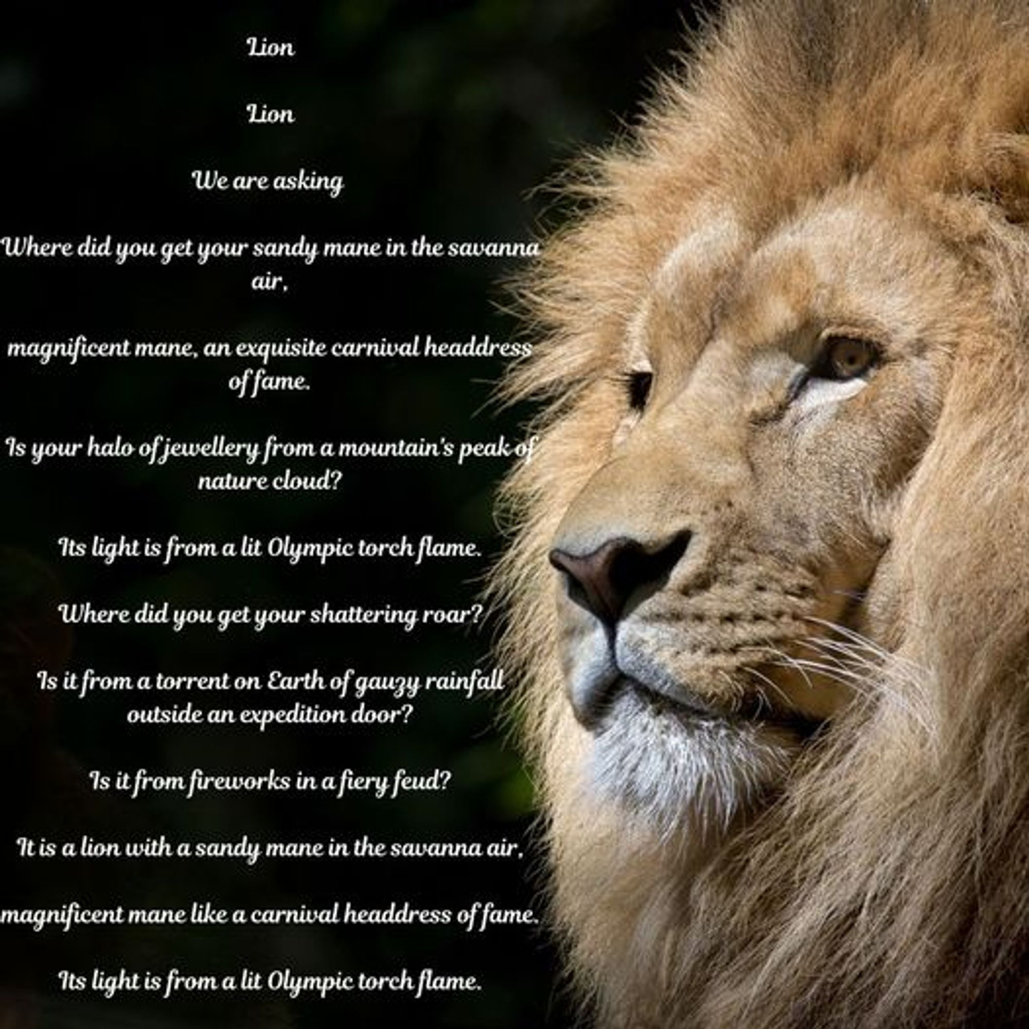 My poem is presented on a template that has a picture of a lion.