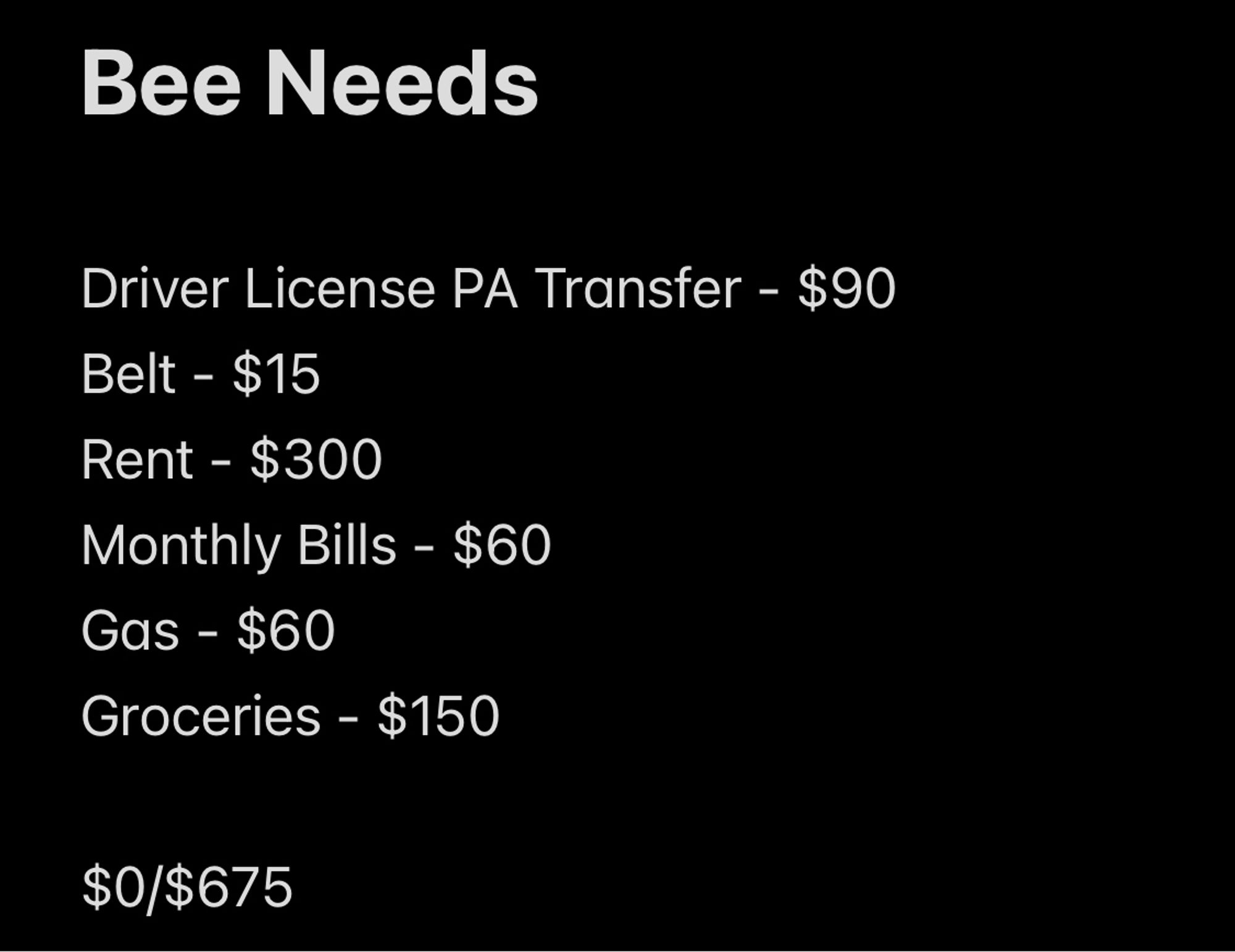 Notepad with the text “Bee Needs
Driver License PA Transfer - $90
Belt - $15
Rent - $300
Monthly Bills - $60
Gas - $60
Groceries - $150
$0/$675”