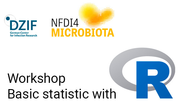 The image shows the logo of the German Center for Infection Research, NFDI4Microbiota and the programming environment R.