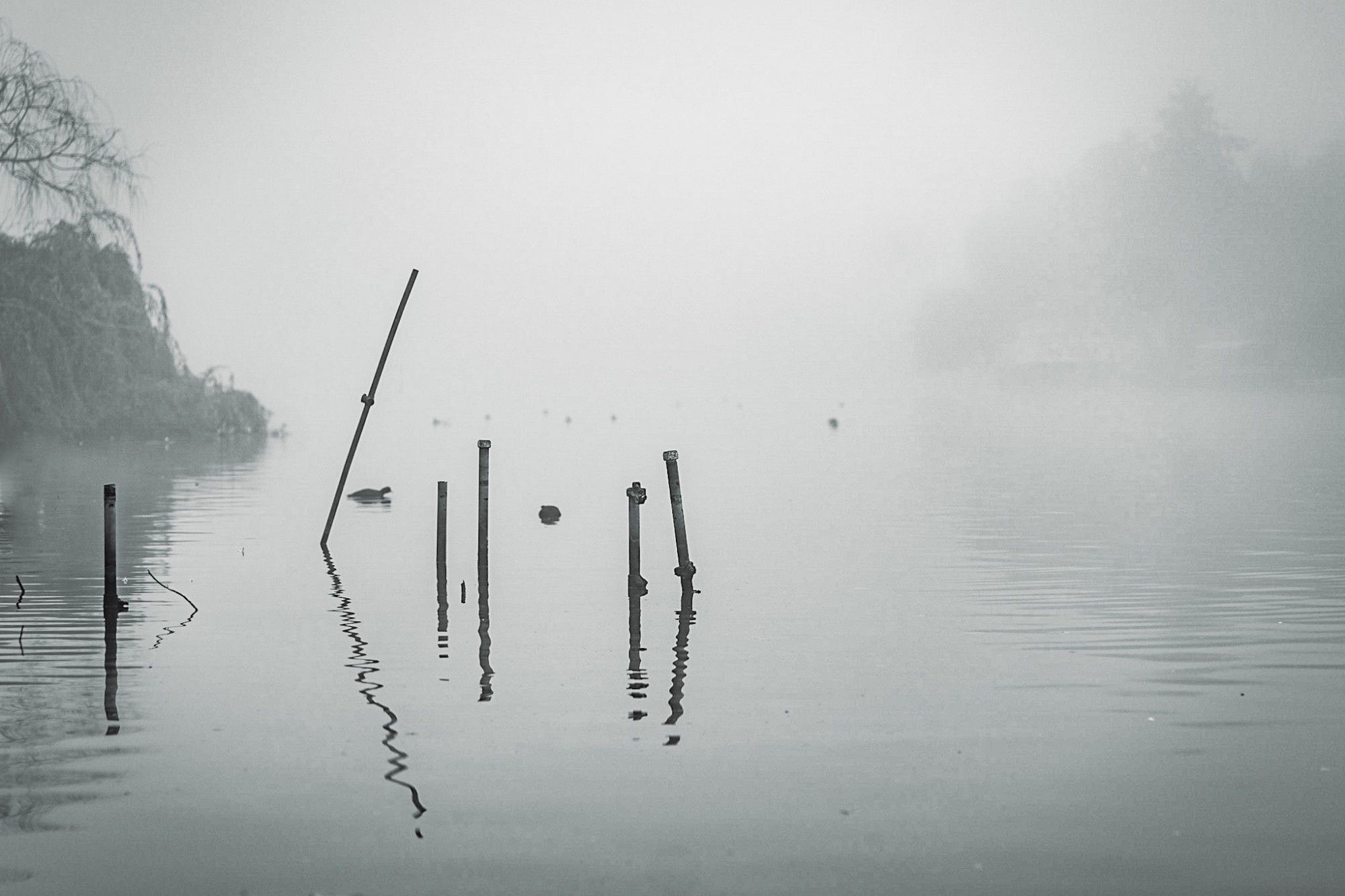 A photo of the Thames river where pipes are coming out of the water, with a foggy background.