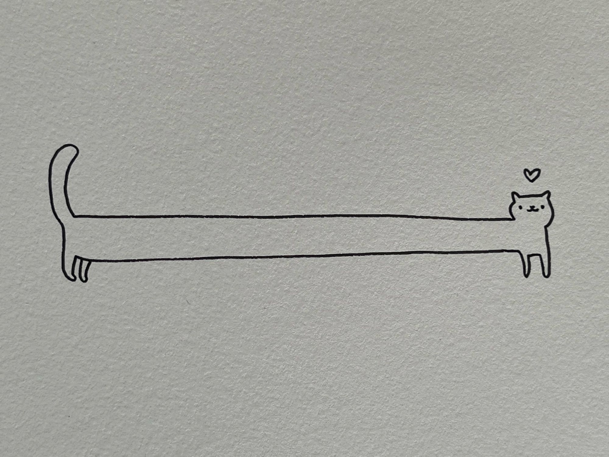 a poorly drawn cat made with black pen on a high textured paper. the poorly drawn cat is a very long cat and there’s a little heart above its head