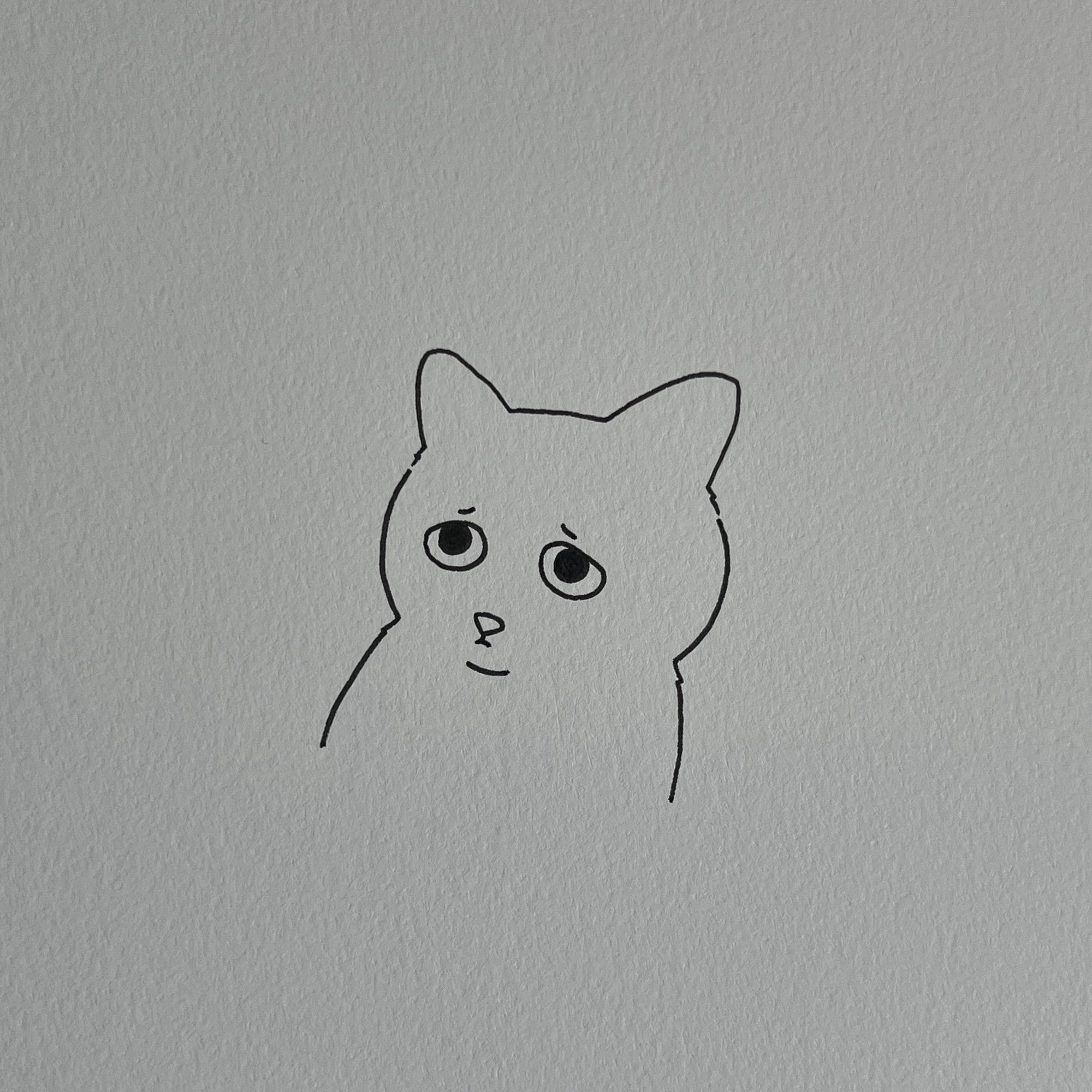 a poorly drawn cat made with a black pen on high-textured paper - the cat appears very sad, with tiny eyebrows to emphasize its sorrow