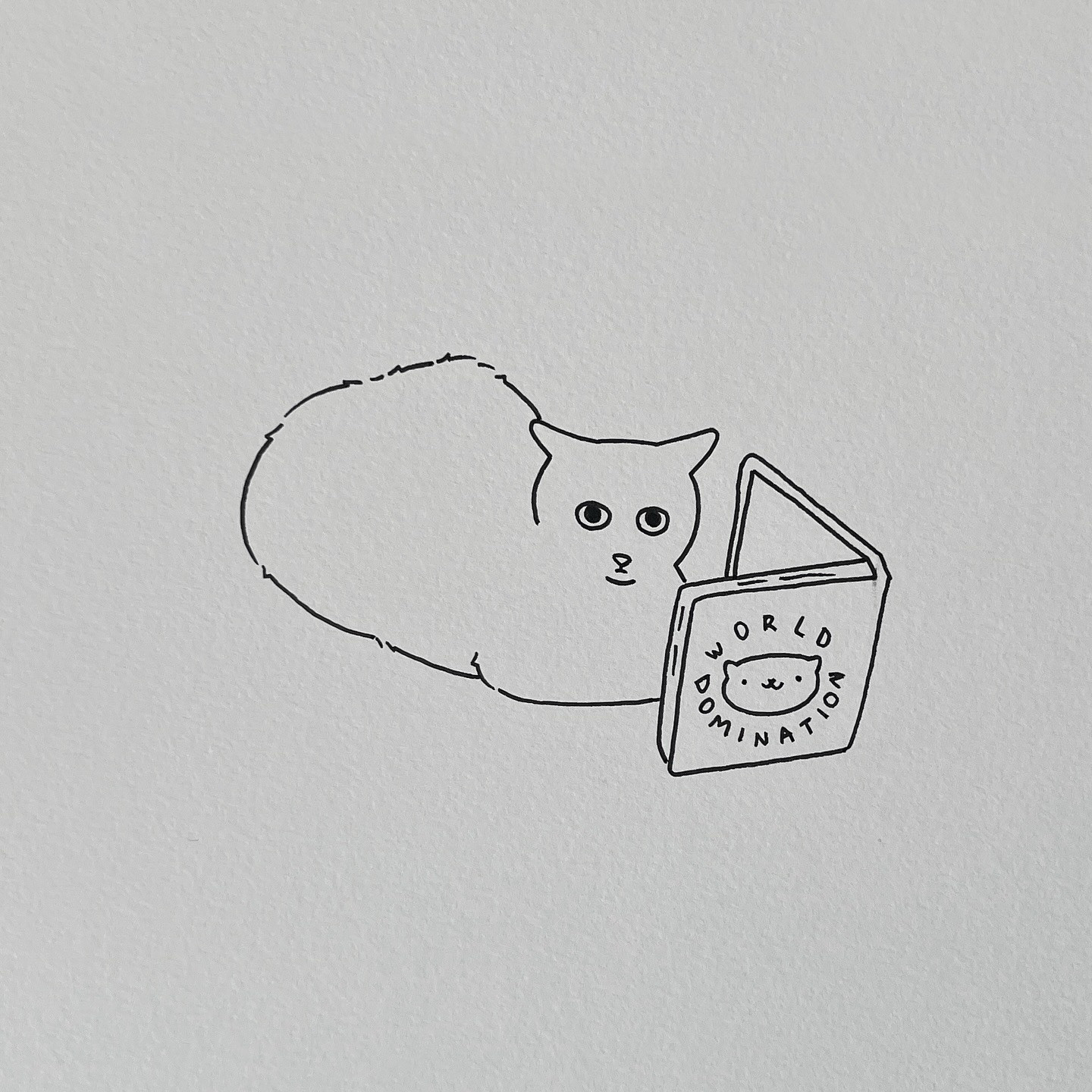 a poorly drawn cat lying on the floor, staring forward with a neutral expression, in front of the cat is an open book titled “world domination” with a cartoon cat face on the cover