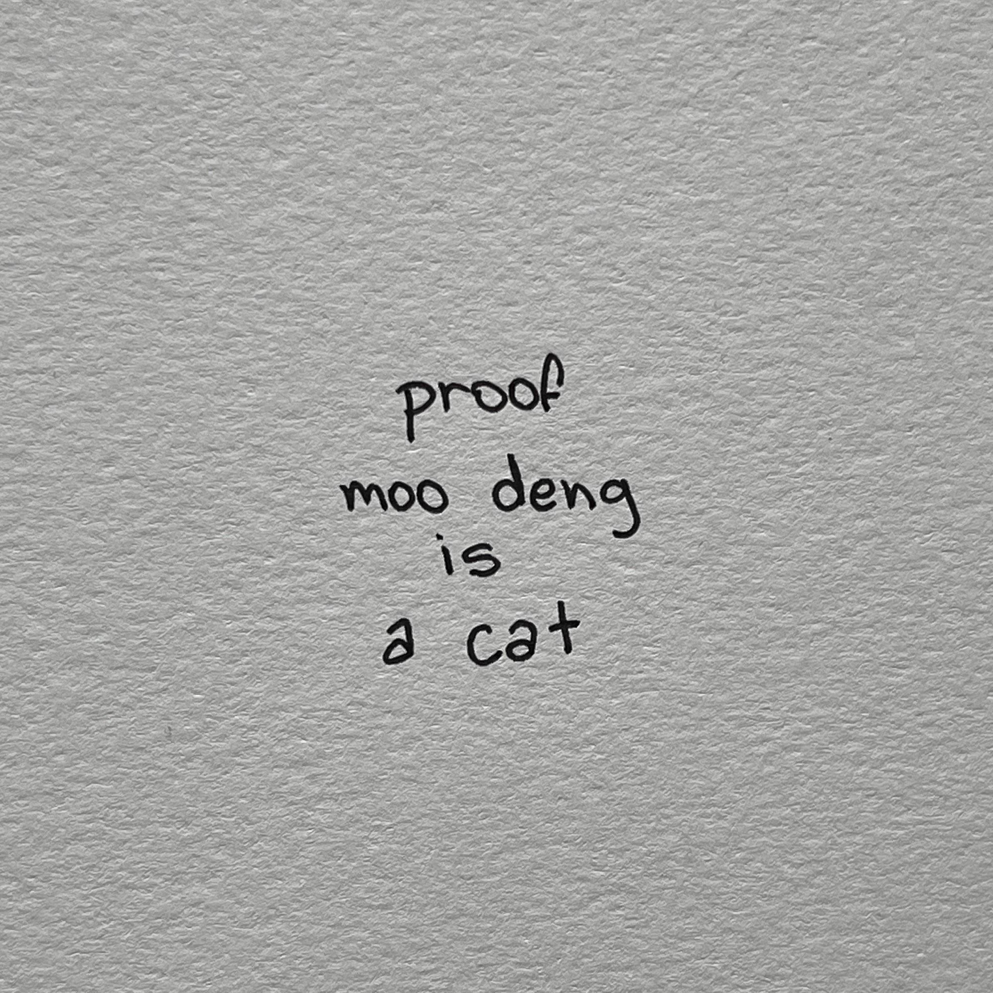 a high textured paper with “proof moo deng is a cat” written on it