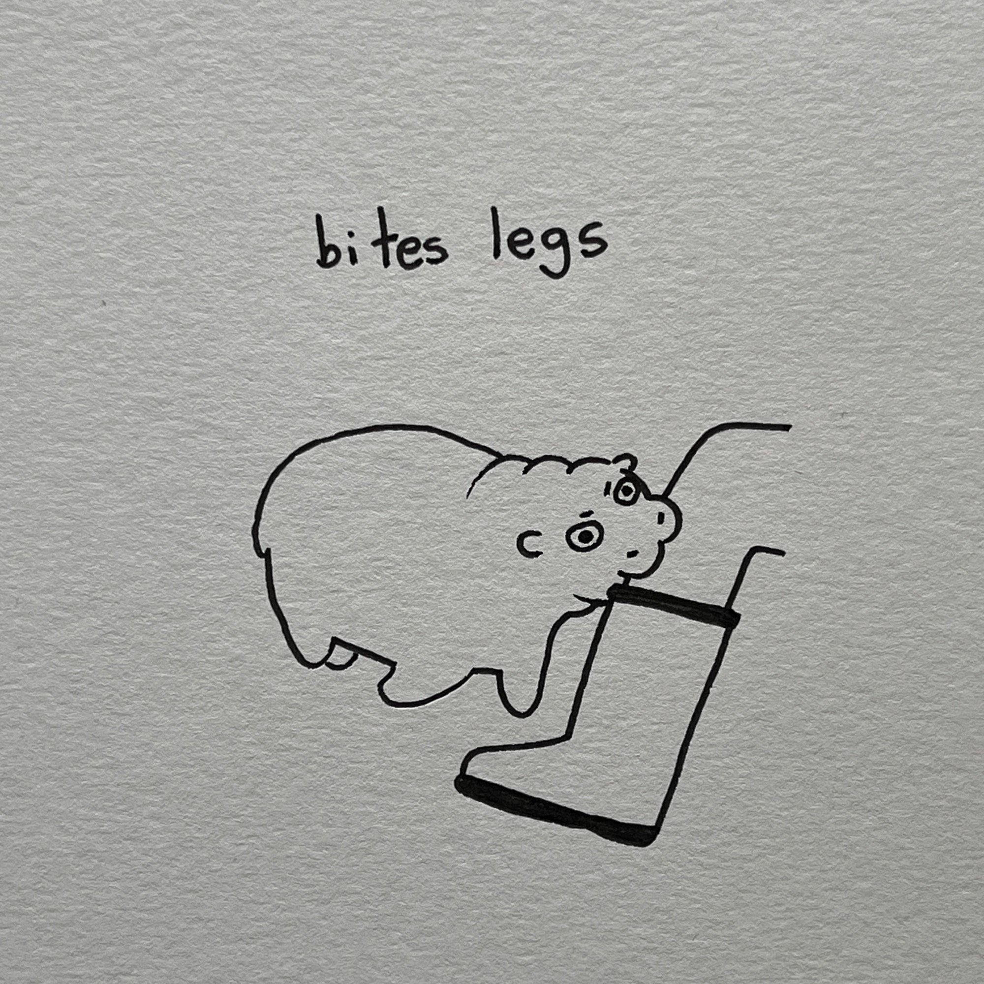 a drawing of moo deng, a baby hippo, and a leg with a boot. moo deng is biting the leg and looking angry. on top of the drawing it’s written: “bites legs”
all drawings are made with black pen on a high textured paper!