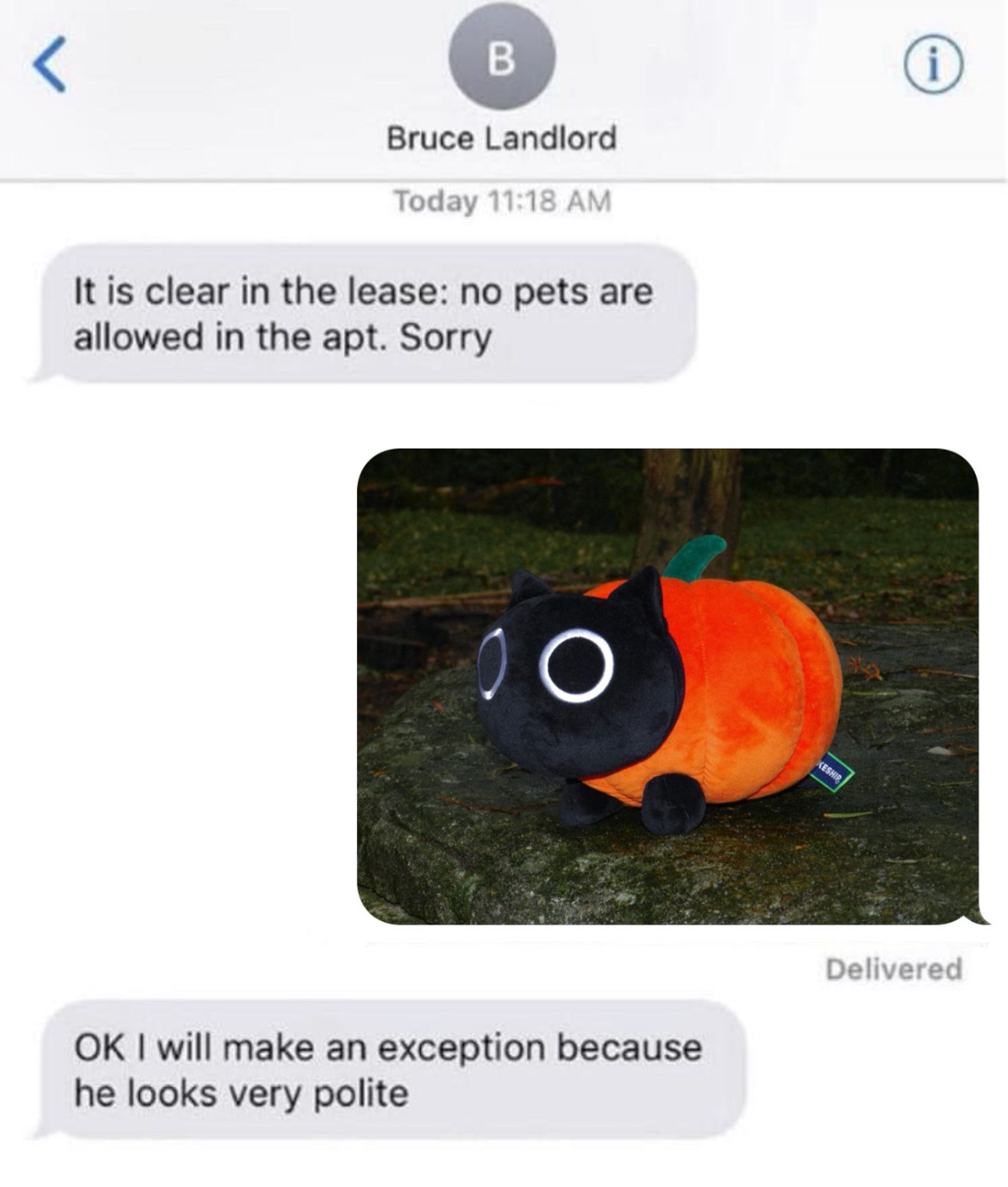 an exchange of messages between “Bruce Landlord” and you, owner of a Meow-loween plushie. Bruce messaged: “It is clear in the lease: no pets are allowed in the apt. Sorry”; you send him a picture of Meow-loween, a pumpkin cat plushie; he then replies: “OK I will make an exception because he looks very polite”.