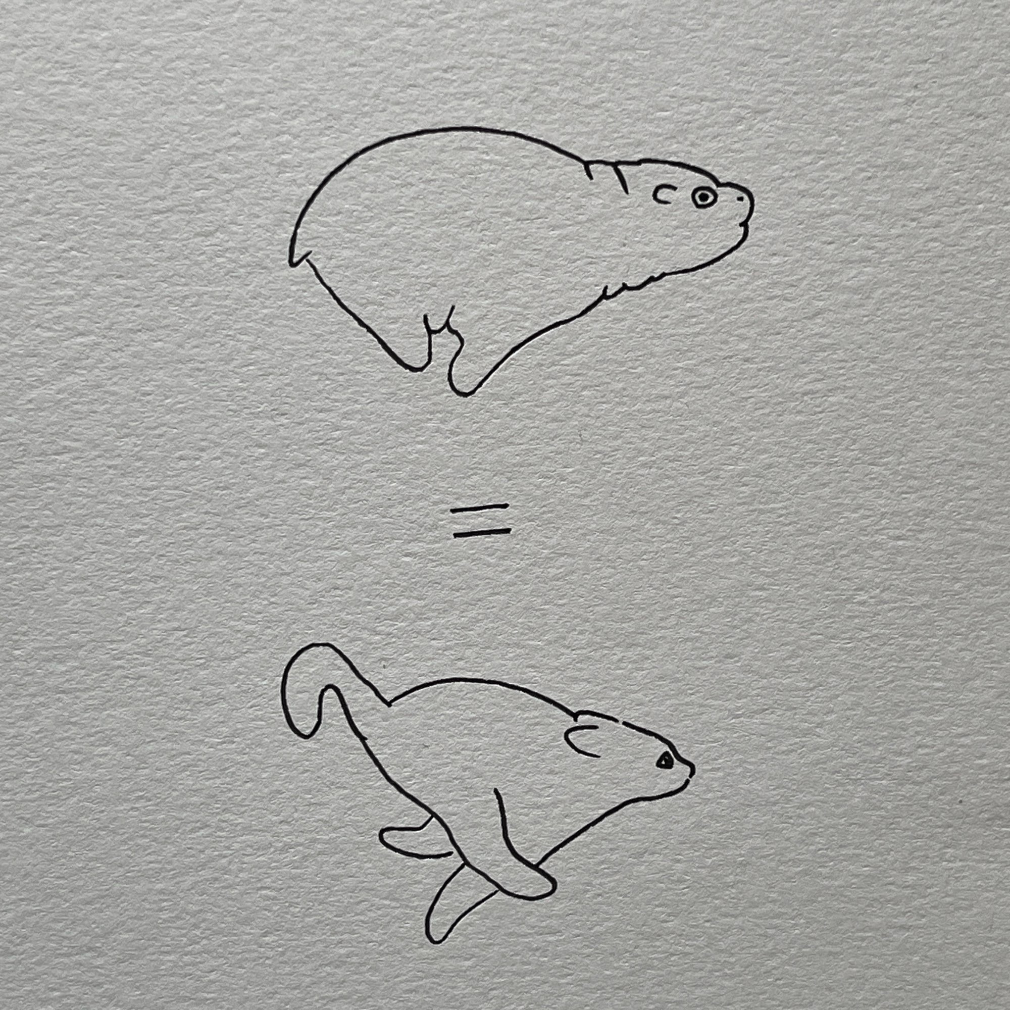 a poorly drawn moo deng (baby hippo) running just like a cat, with the ears down. below it, there’s an equal sign and a cat running, just like moo deng, proving moo deng is a great cat