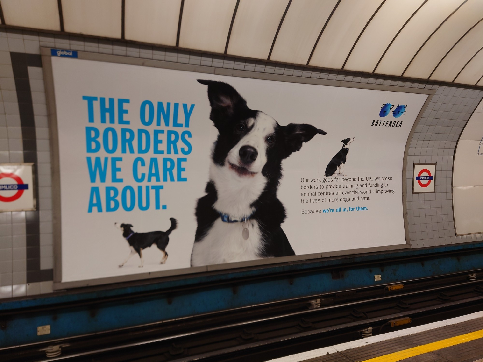 Tube ad saying "The only borders we care about", with photos of border collies