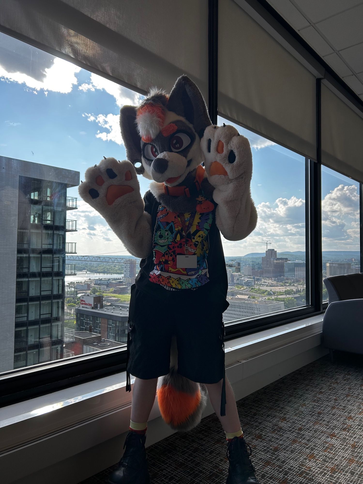 Vernin my grey orange and white raccoon dog fursuit posing infront of a window!