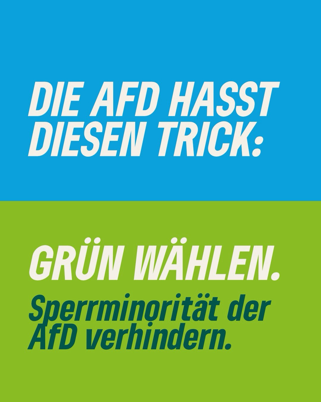 DIE AFD HASST DIESEN TRICK:
GRÜN WÄHLEN.
Sperrminorität der AfD verhindern.