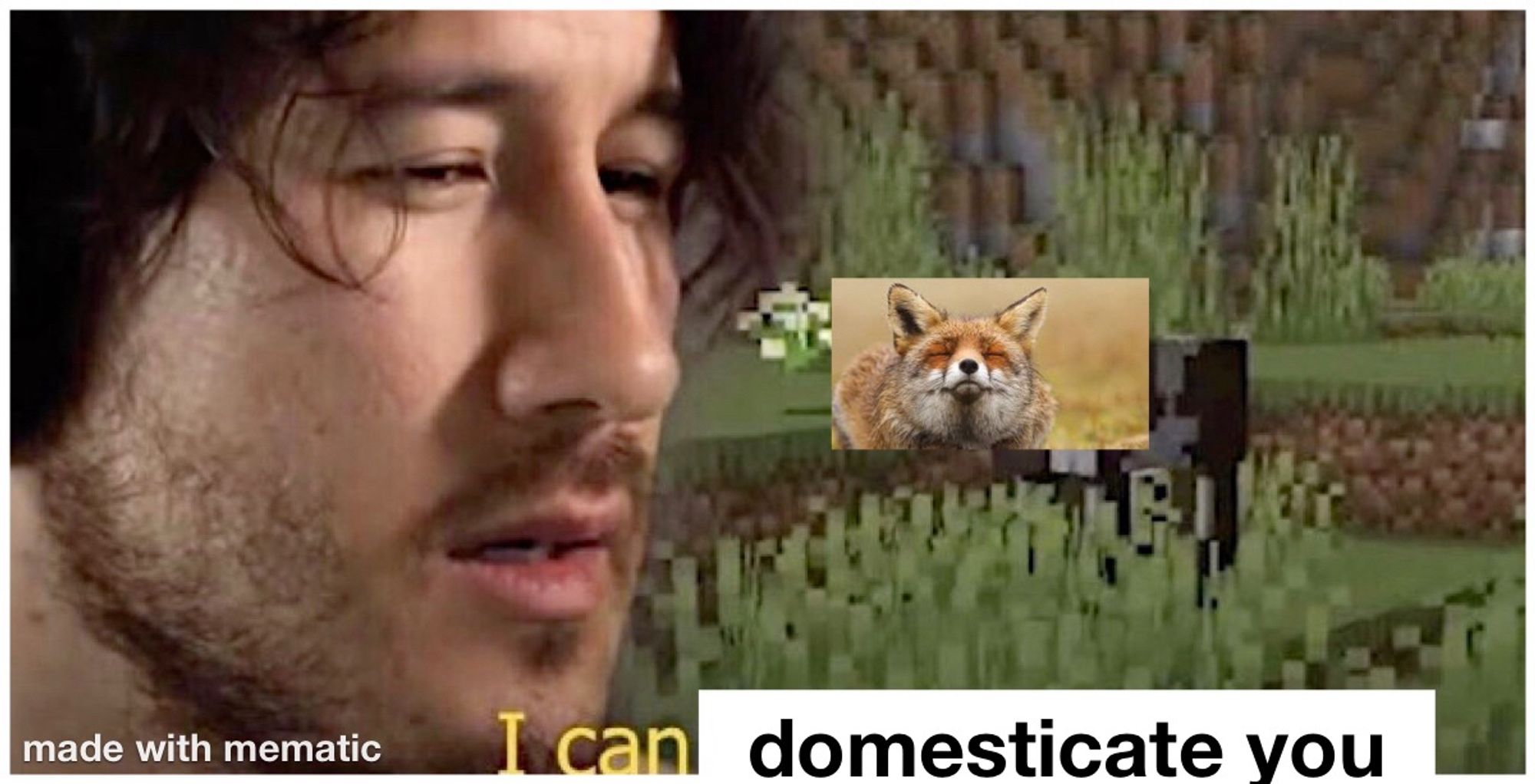 Meme about domestication of animals