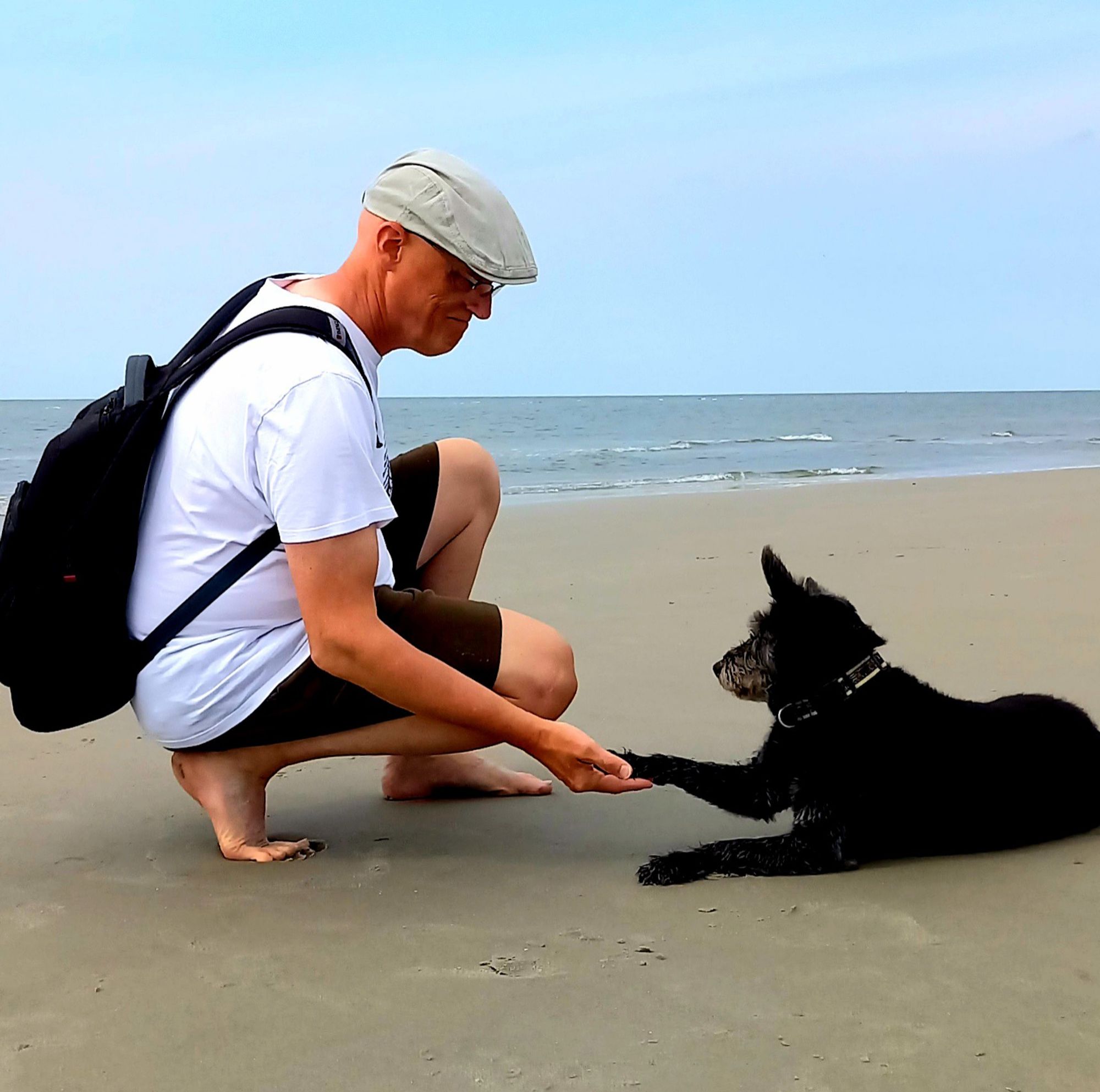 Der User kniet am Strand in kurzer Hose und T-Shirt, mit Schlägerkäppie und Rucksack auf dem Rücken vor einem kleinen schwarzen Hund mit spitzen Tütenohren, der völlig relaxed am Strand liegt. Beide betreiben ein Shakehand, vielmeer der Hund hat seine Pfote in die Pfote des Users gelegt. Man sieht die weite des Strandes, etwas vom graugrünen Meer und hellblauen, fast wolkenlosen Himmel.