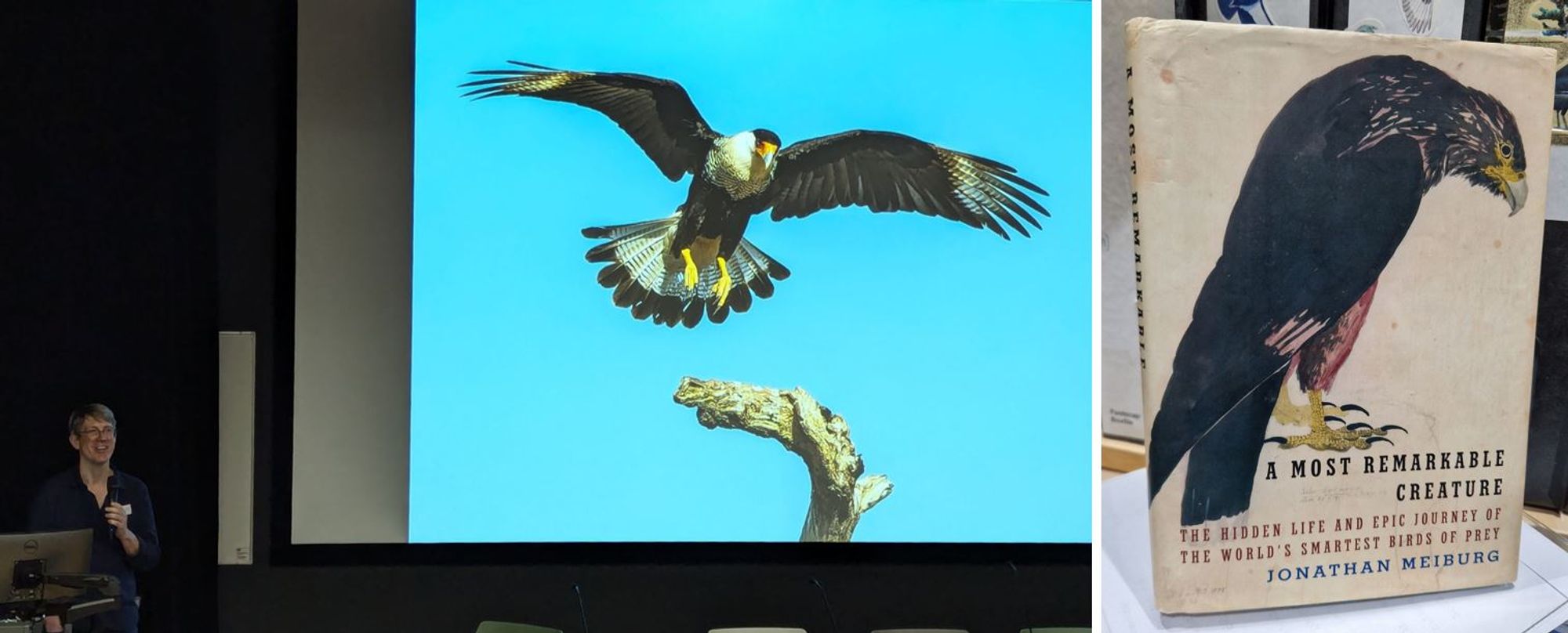 Jonathan Meiburg talking at TetZooCon 2024 about his book on caracaras, with a copy of the book itself (1st edition hardbook) shown at right and a big photo of a Crested caracara on the screen.