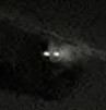 Even more appalling photo of European badger taken at night on a road.