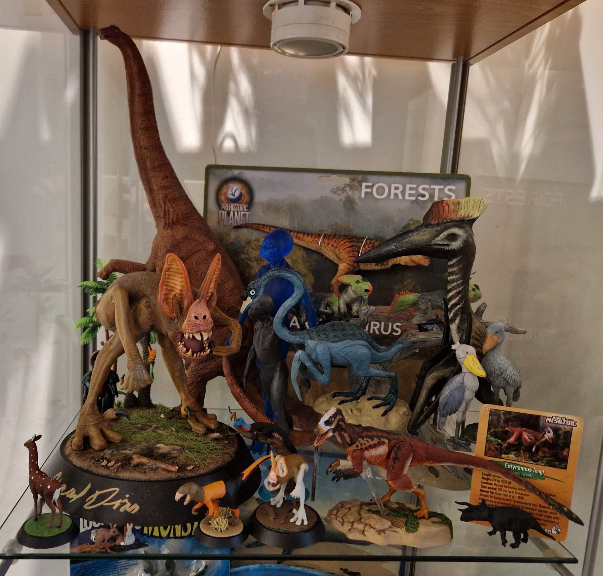 Model animals in a glass cabinet. 