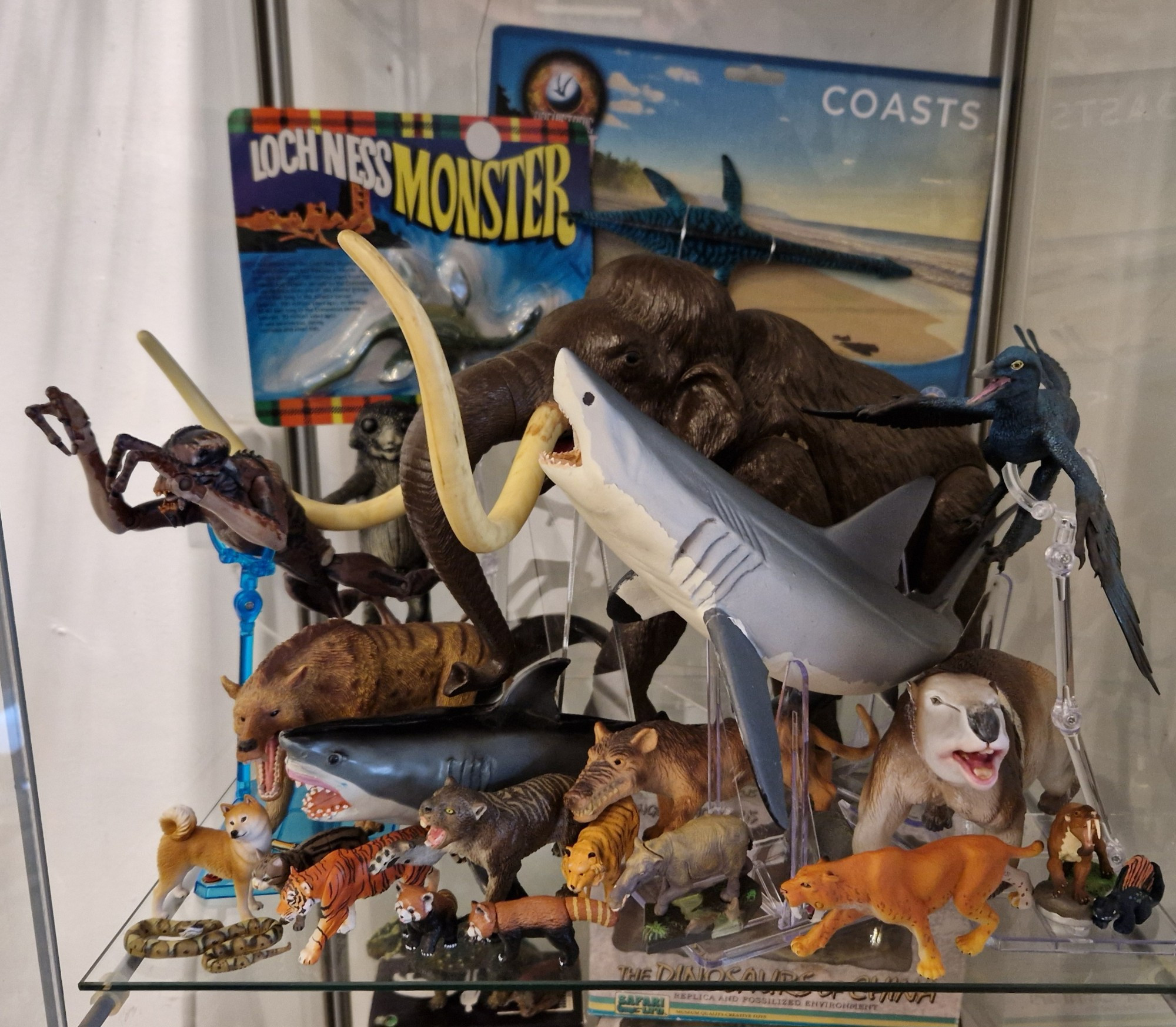 Model animals in a glass cabinet.