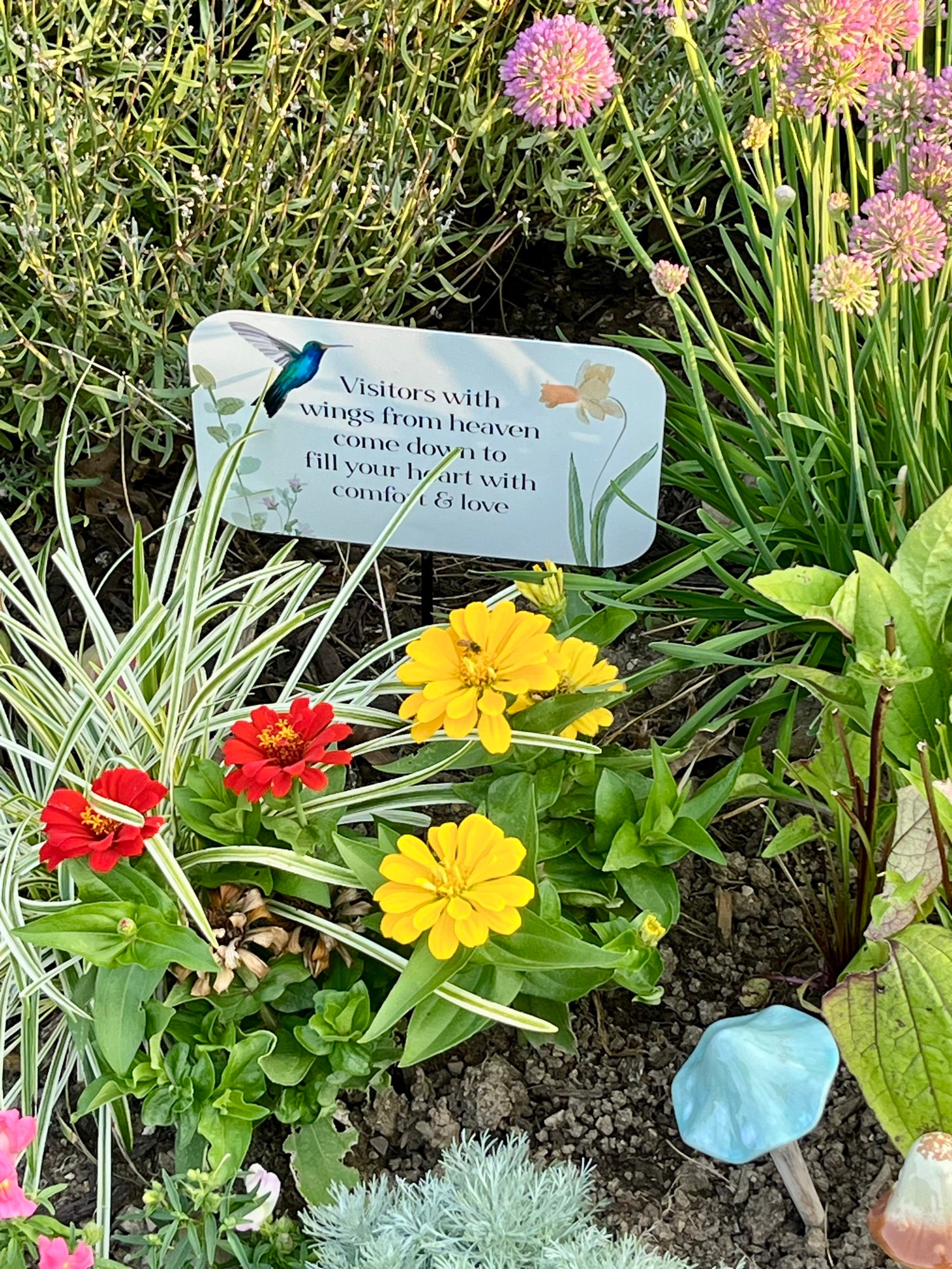 A small white sign stuck into a flower bed of purple pincushion, green decorative striped grass and tiny yellow and fire red zinnias. The sign reads “visitors with wings from heaven come down to fill your heart with comfort and love.” There is a colored image of a hummingbird and yellow daffodil on the sign.