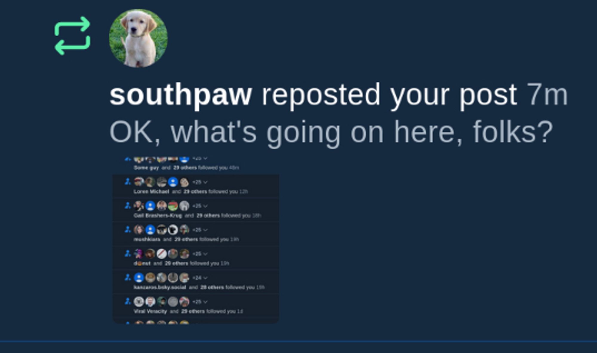 A screenshot of a notification that some account called 'southpaw' reposted the above post.