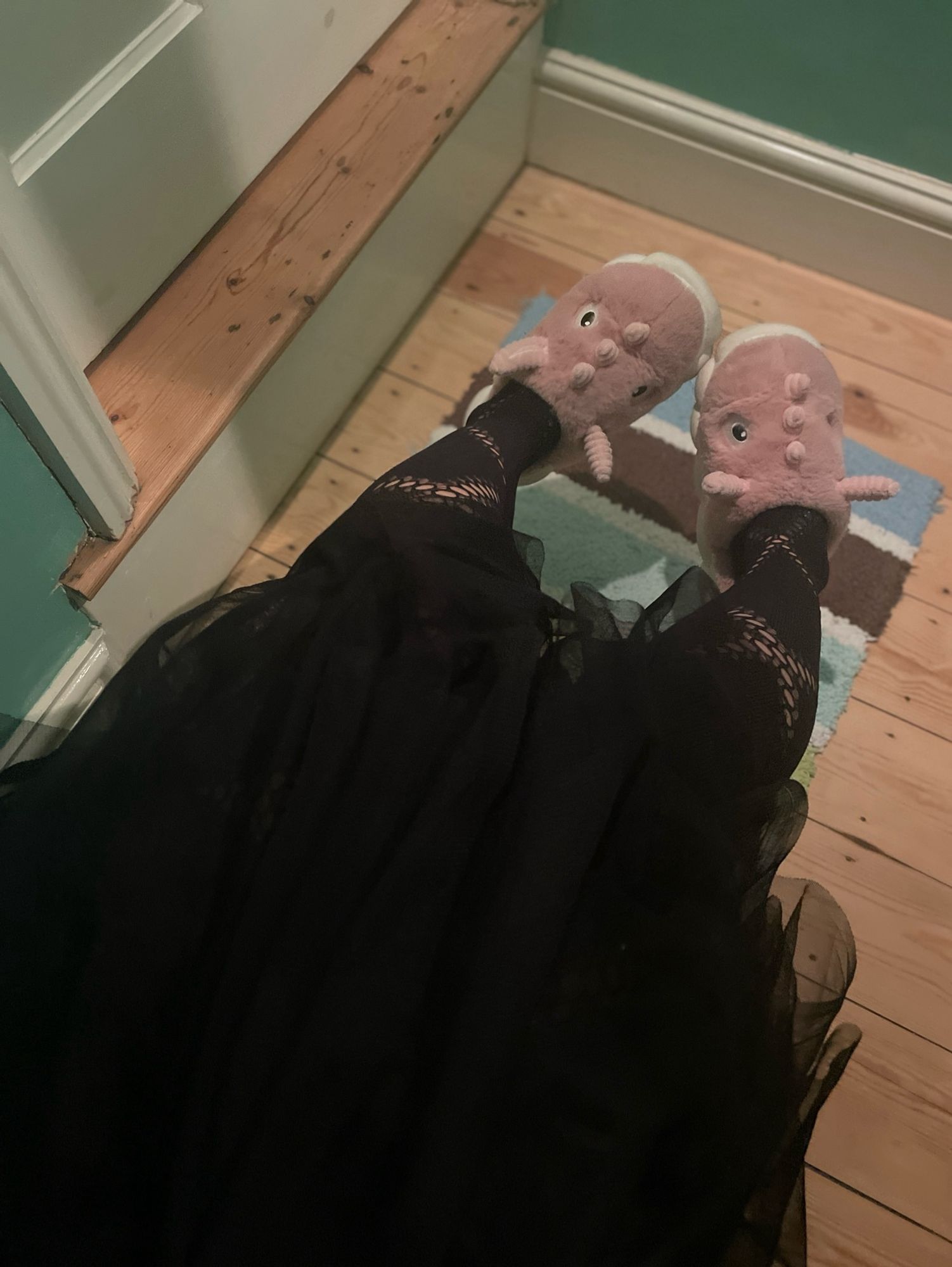 Weeweeselfie showing black fishnet clad legs and my pink dinosaur slippers!