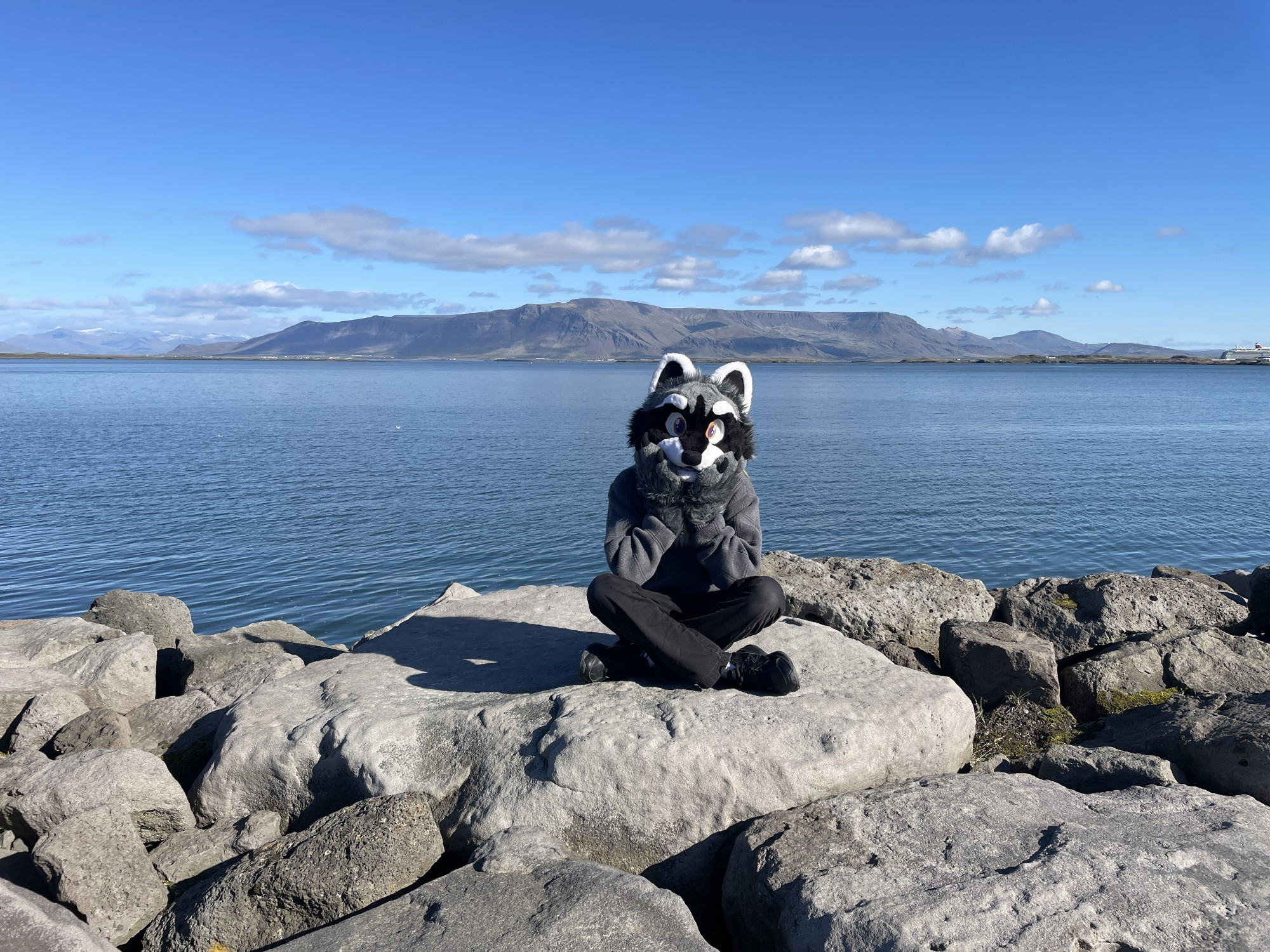 Guy wearing a raccoon fursuit sits cross legged on some rocks in front of a large body of water and mountains in the background