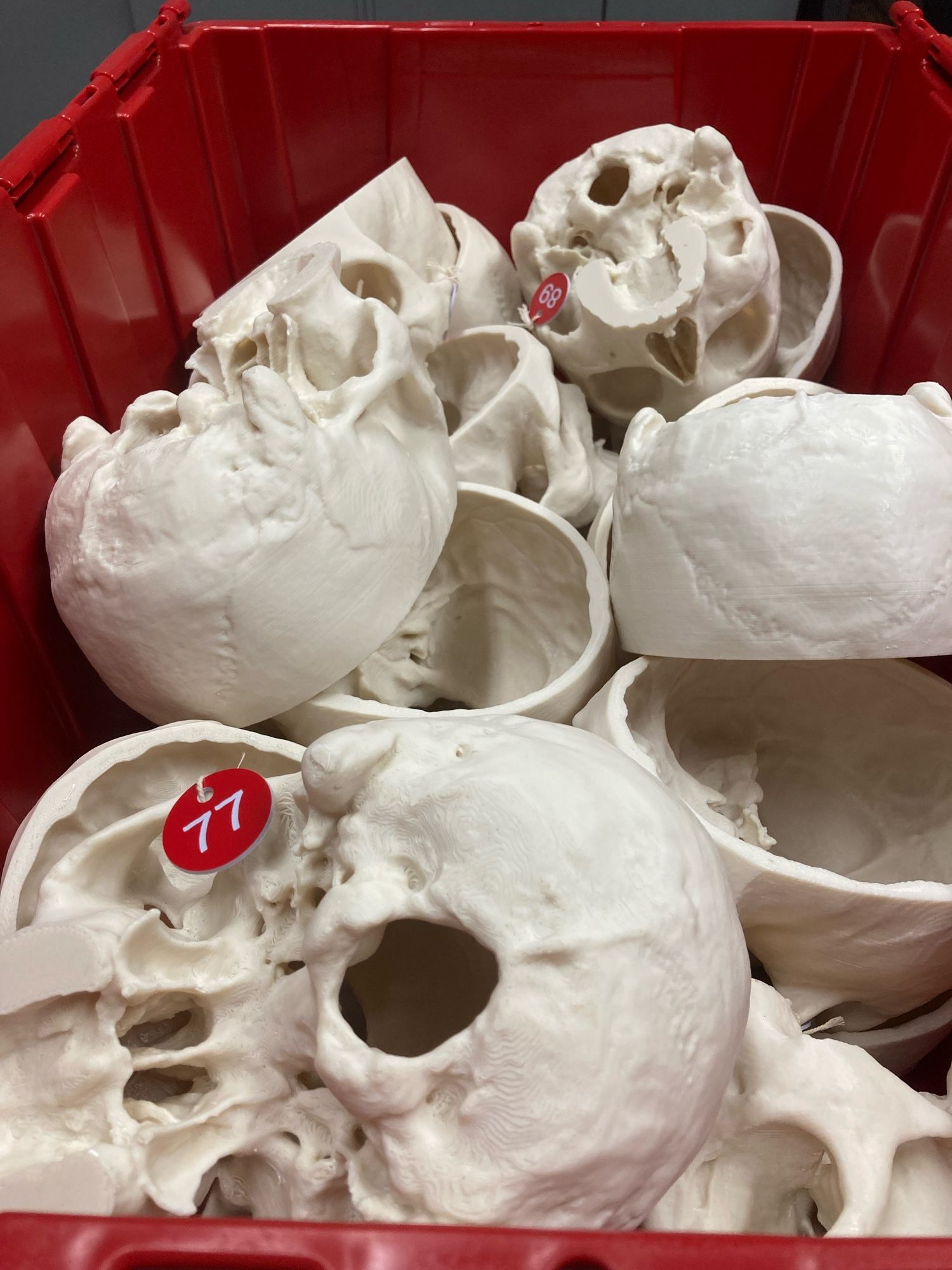 Box of 3D printed skulls