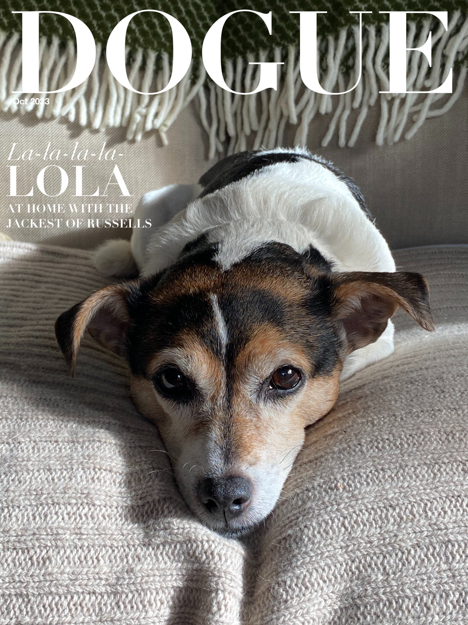 A Jack Russell lying on a sofa, looking at the camera. Heading, "DOGUE." Subheader: "La-la-la-la-LOLA - At home with the Jackest of Russells."