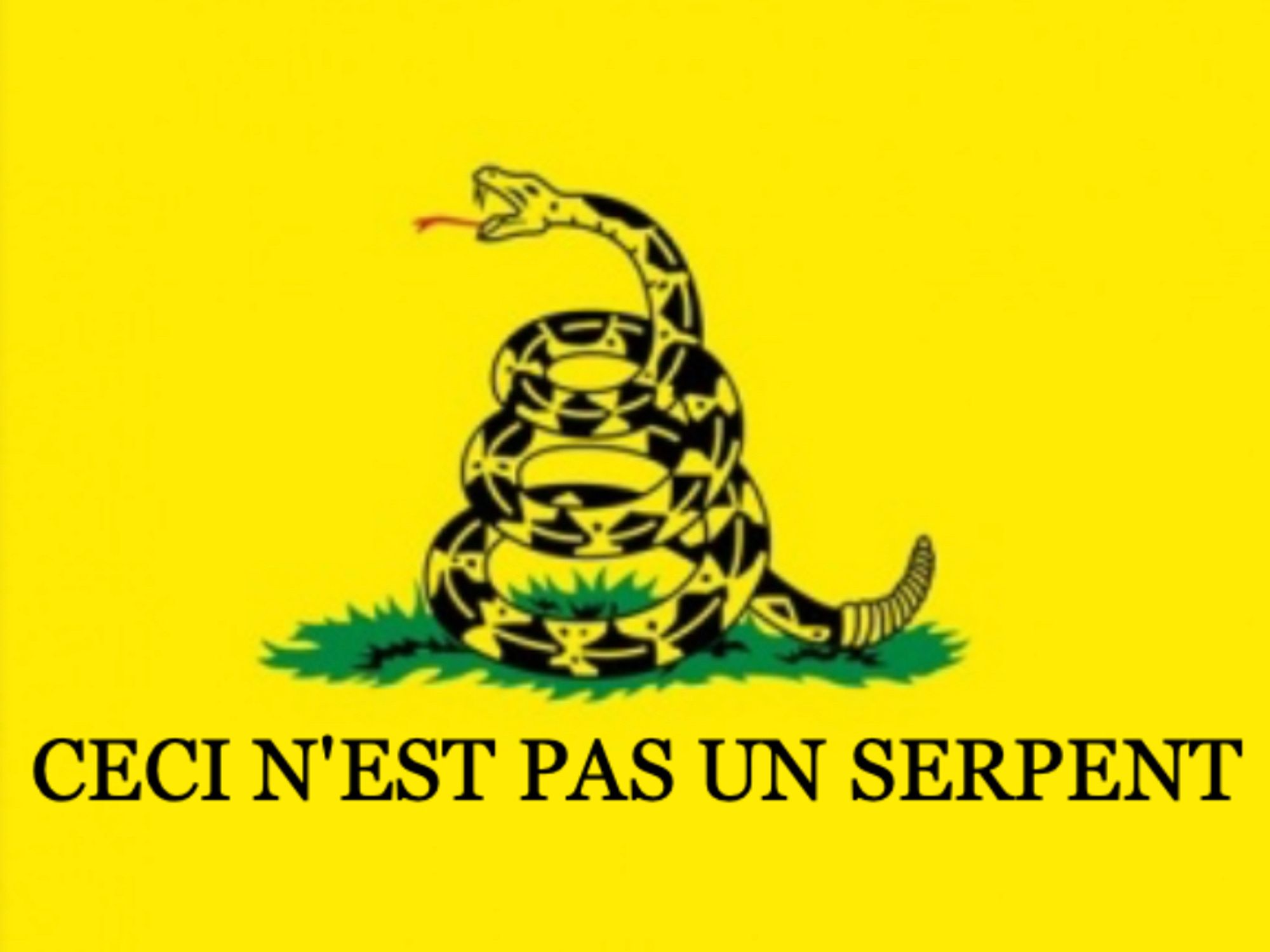 Gadsden flag with "CECI N'EST PAS UN SERPENT"