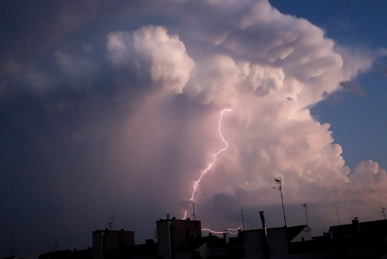 A long pinkish lightingbolt striking inside a cloud