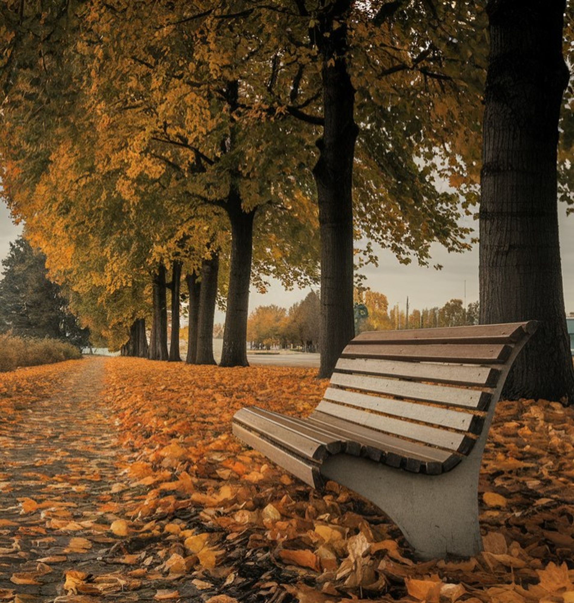 Eine Bank in herbstlicher Umgebung