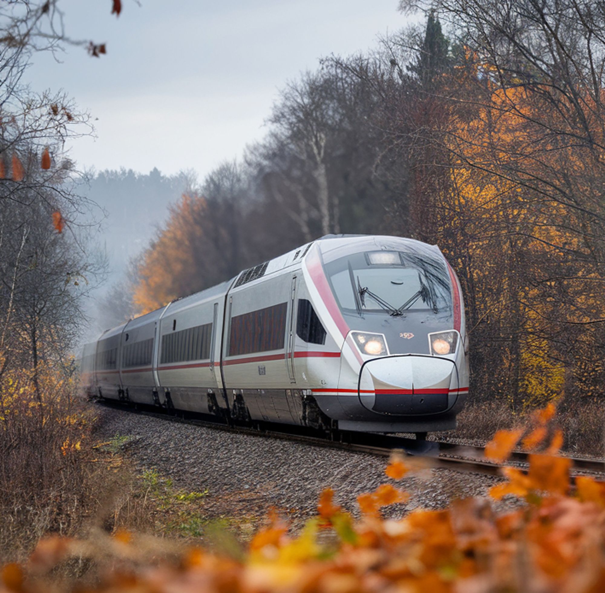 Ein Zug fährt durch einen herbstlichen Wald