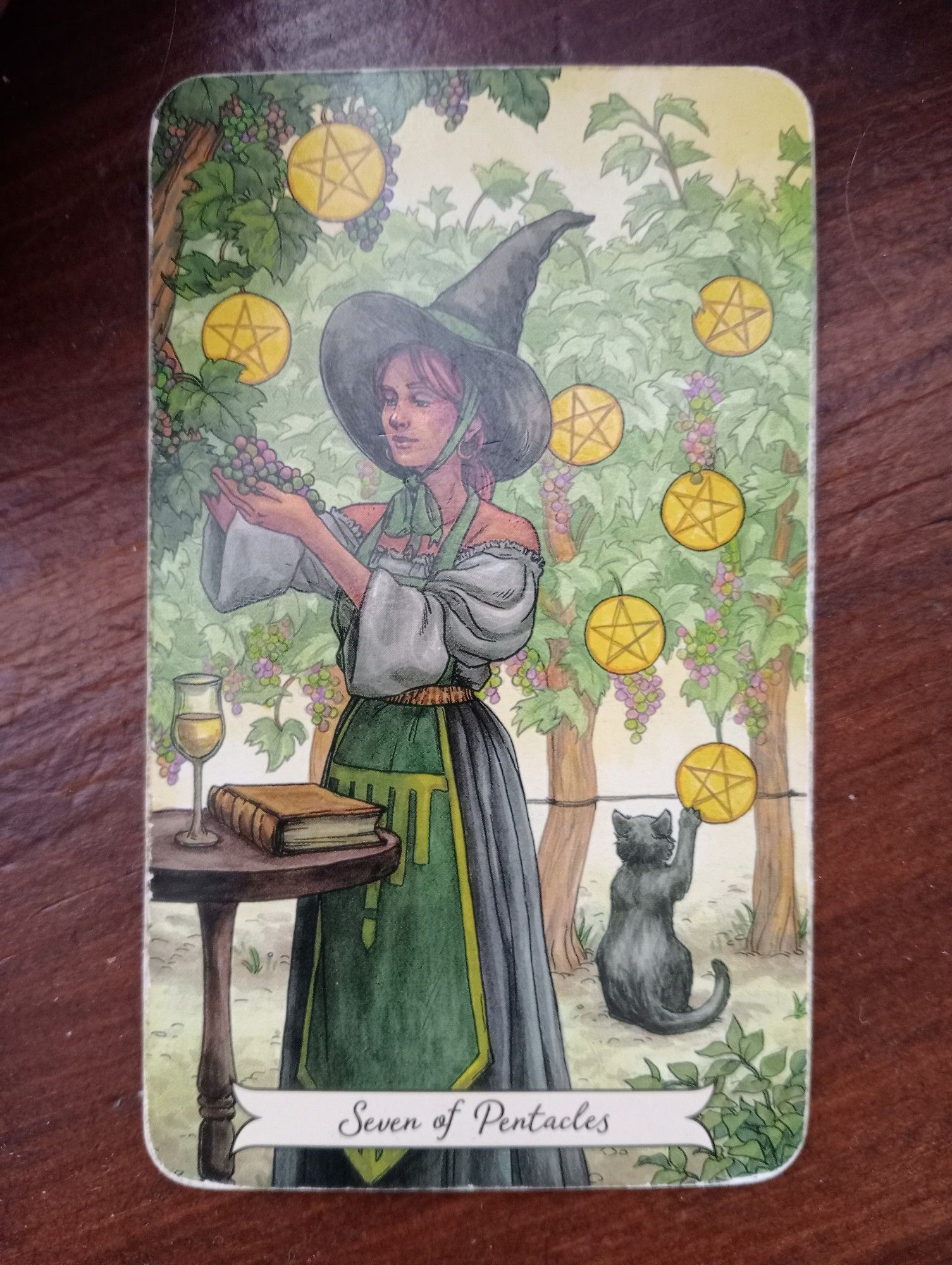 Tarot card 7 of Pentacles